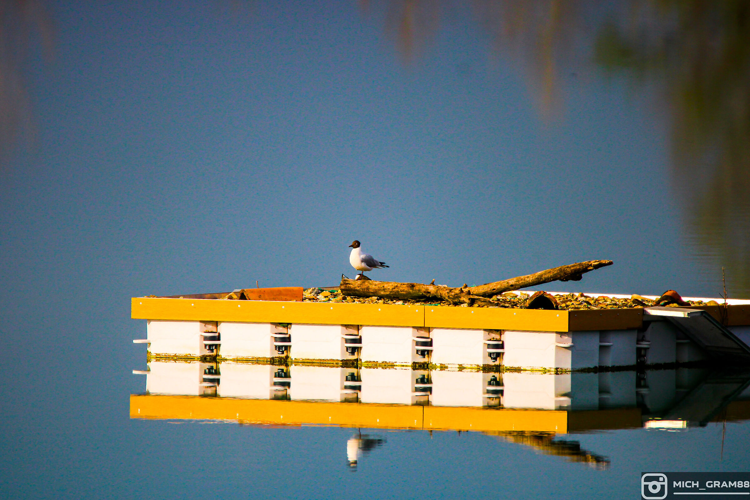 Reflections