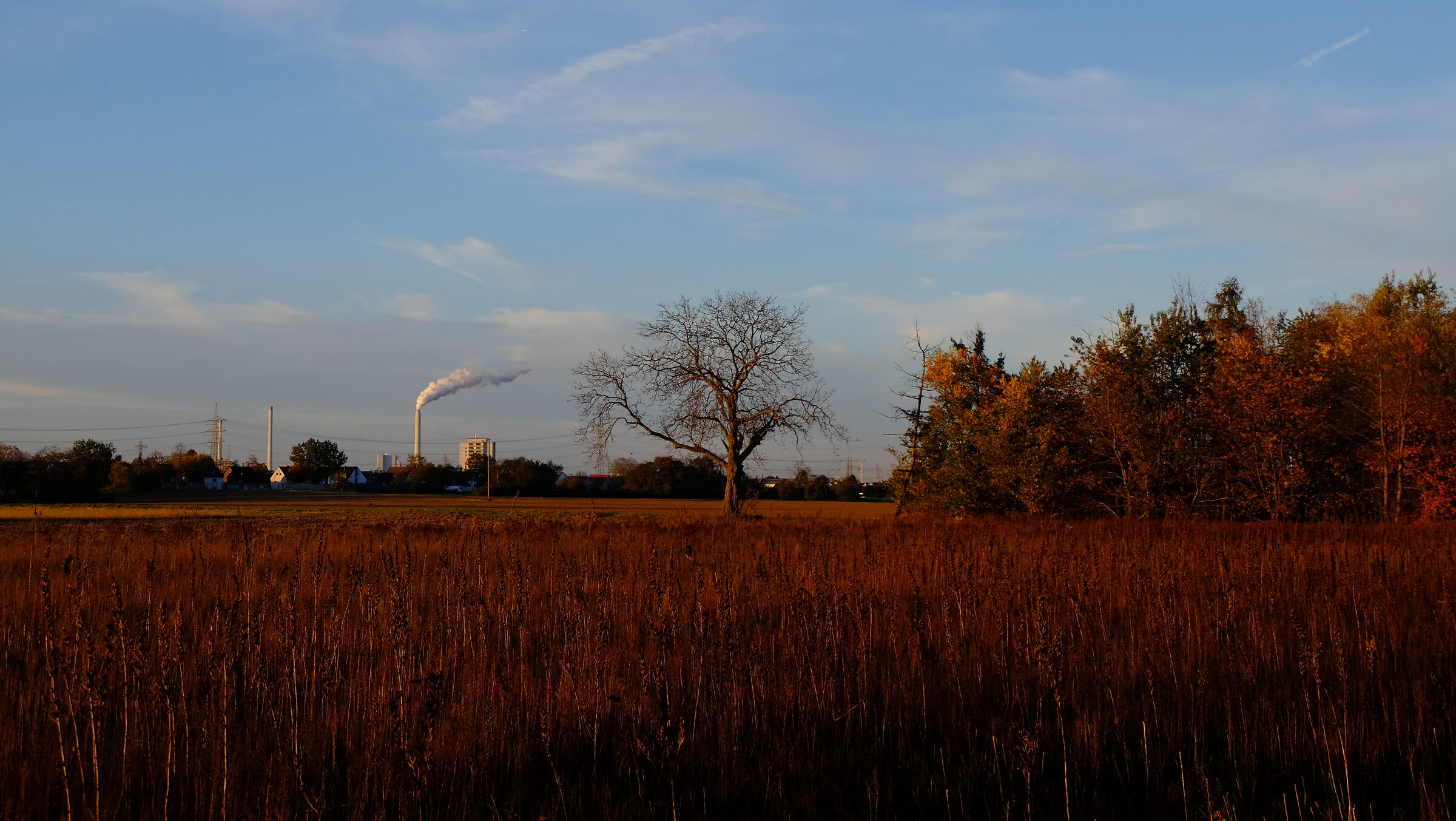 the victory of Nature