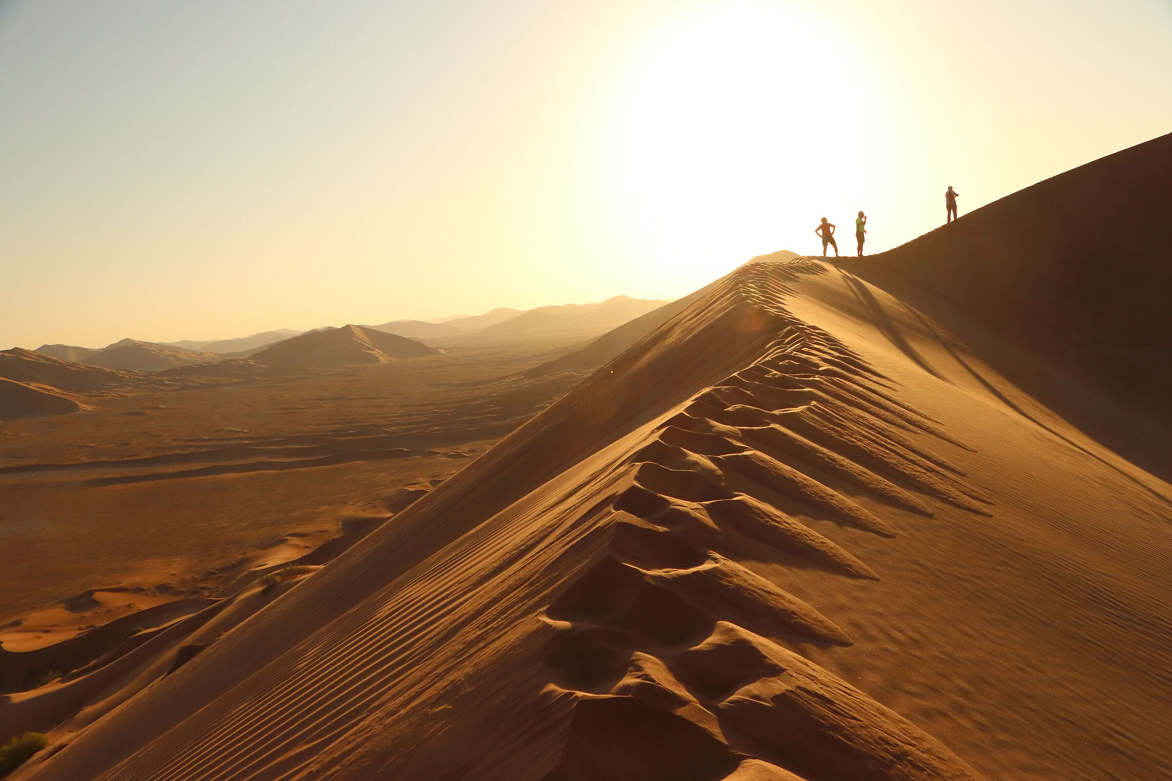 The shadows of the last sun