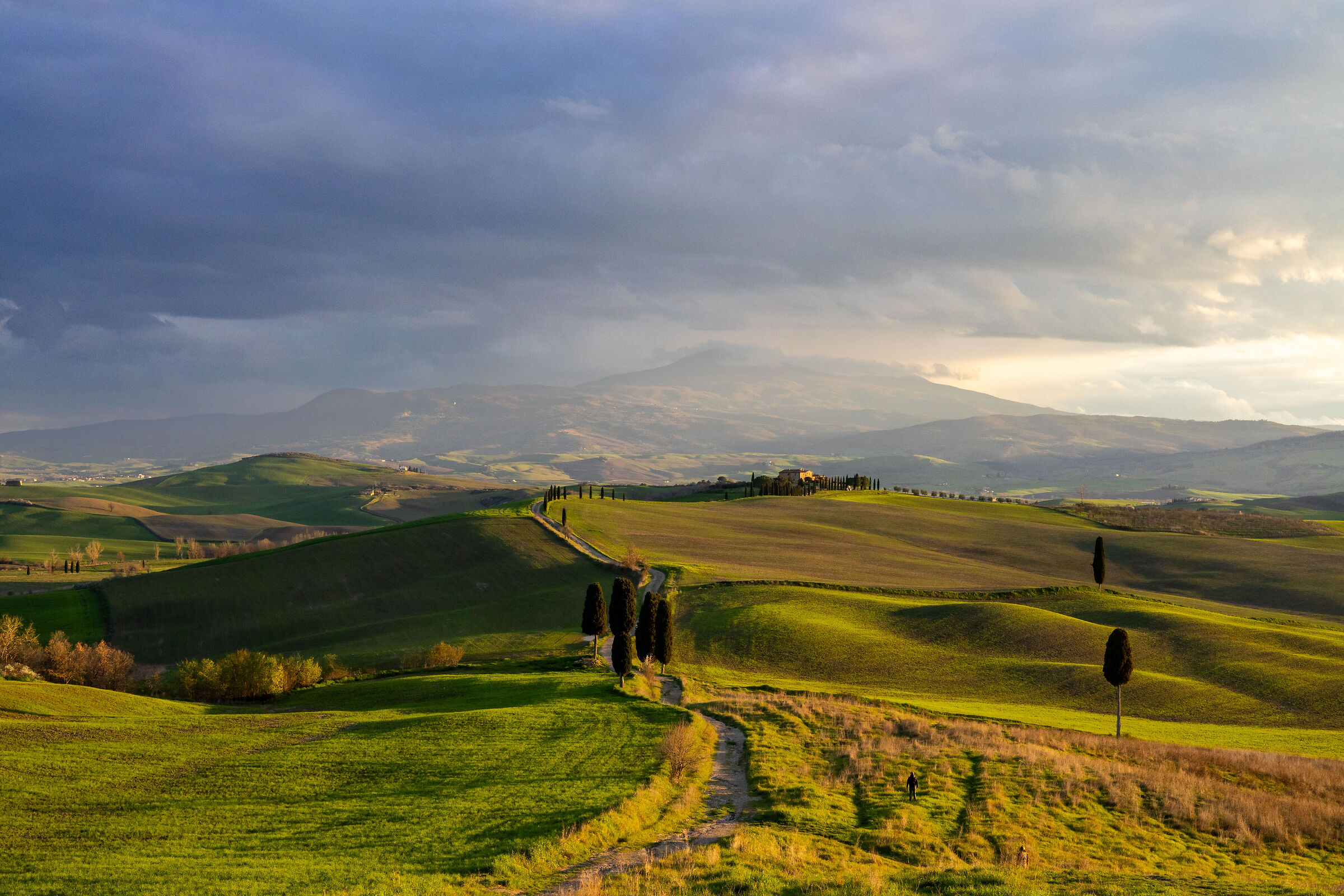 The Gladiator - Pienza