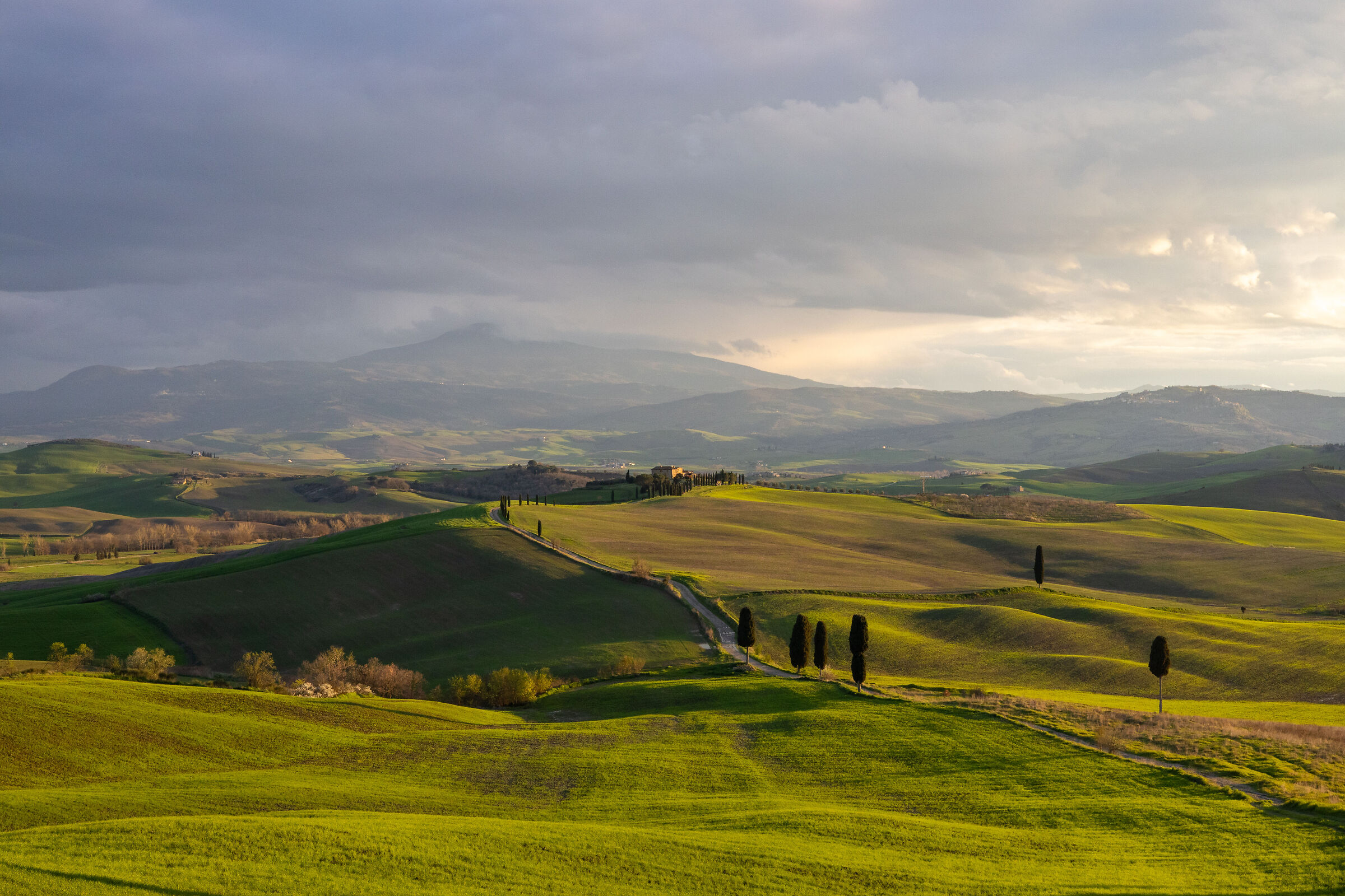 The Gladiator - Pienza
