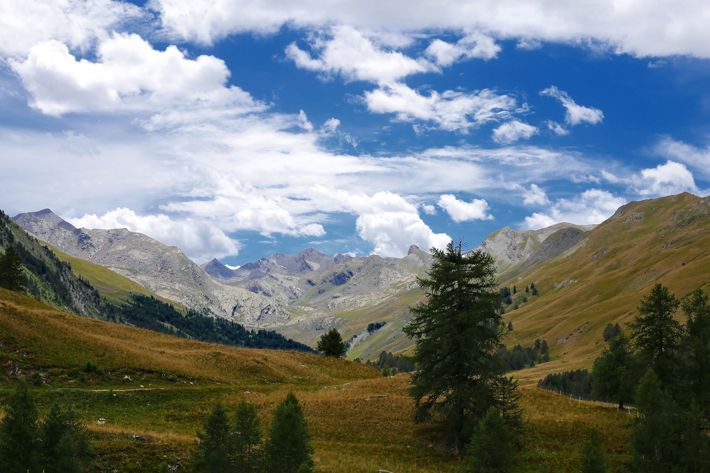 Mercantour National Park