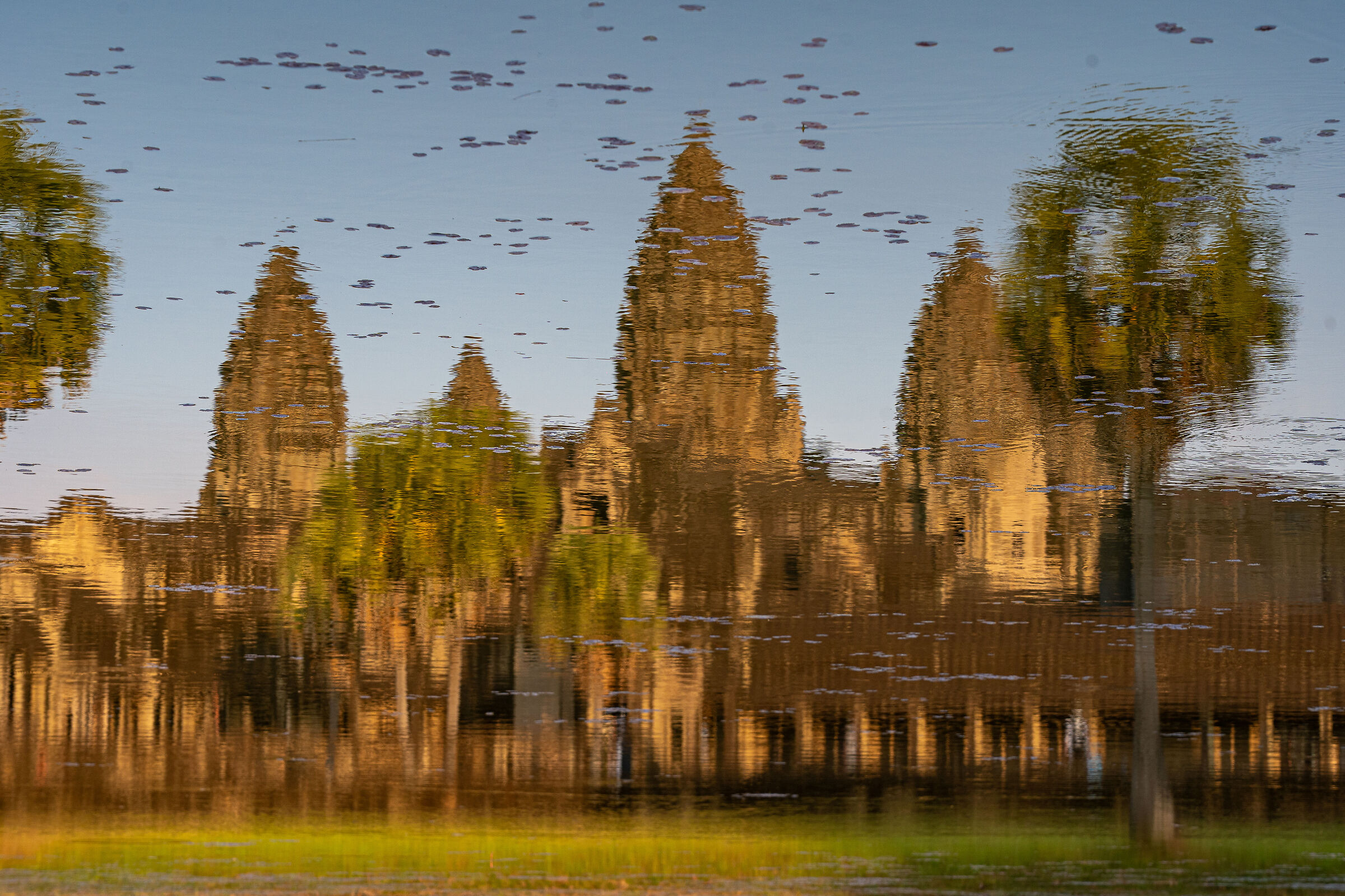 Riflessi di una meraviglia