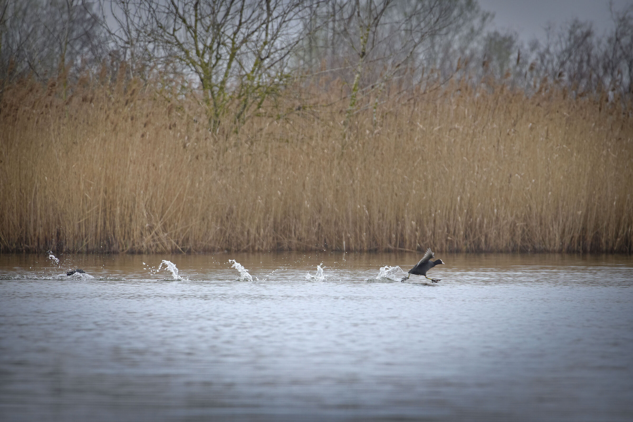 88 miglia all'oraaaaa!