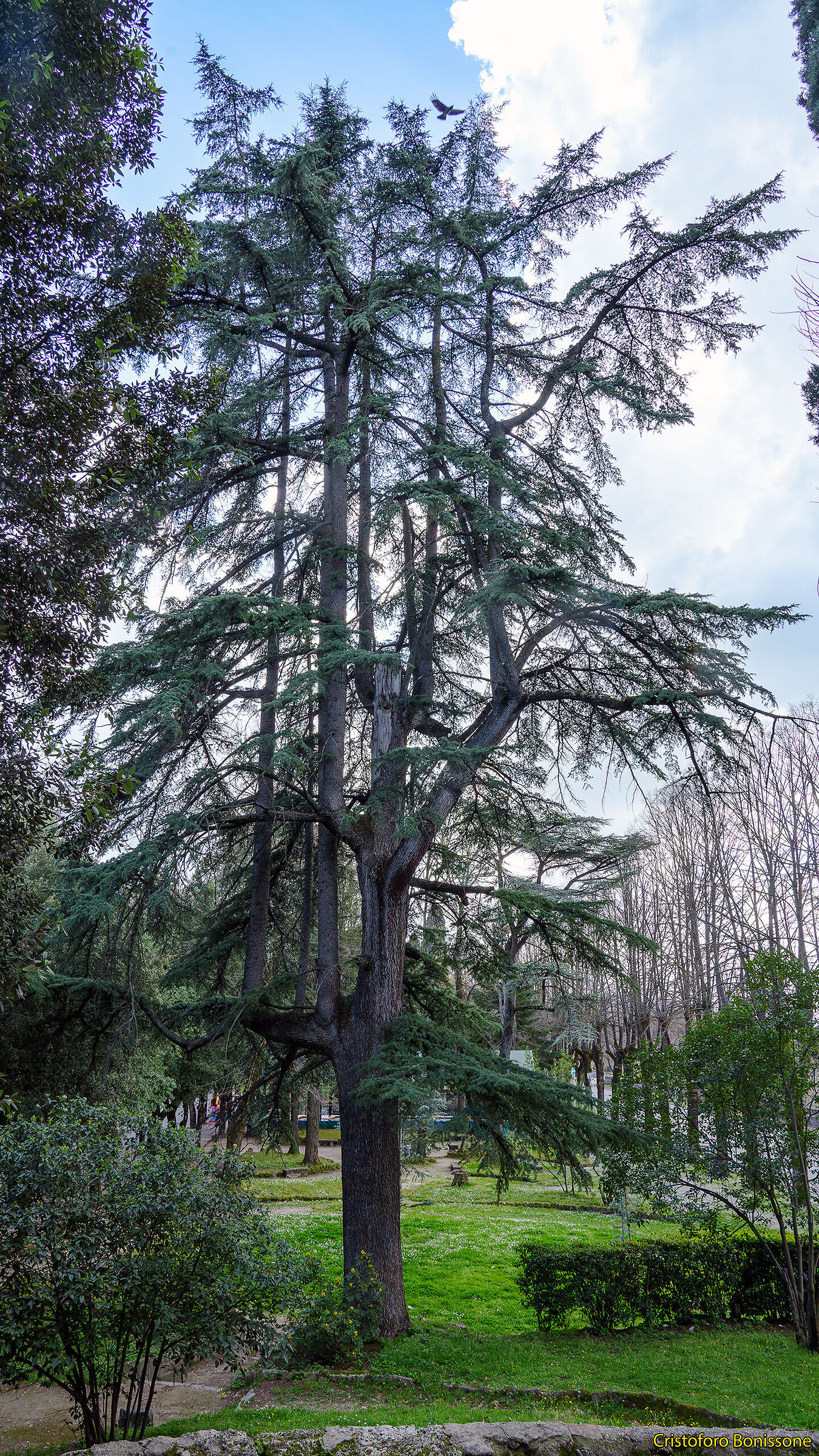 Nei Giardini Pubblici di Terni