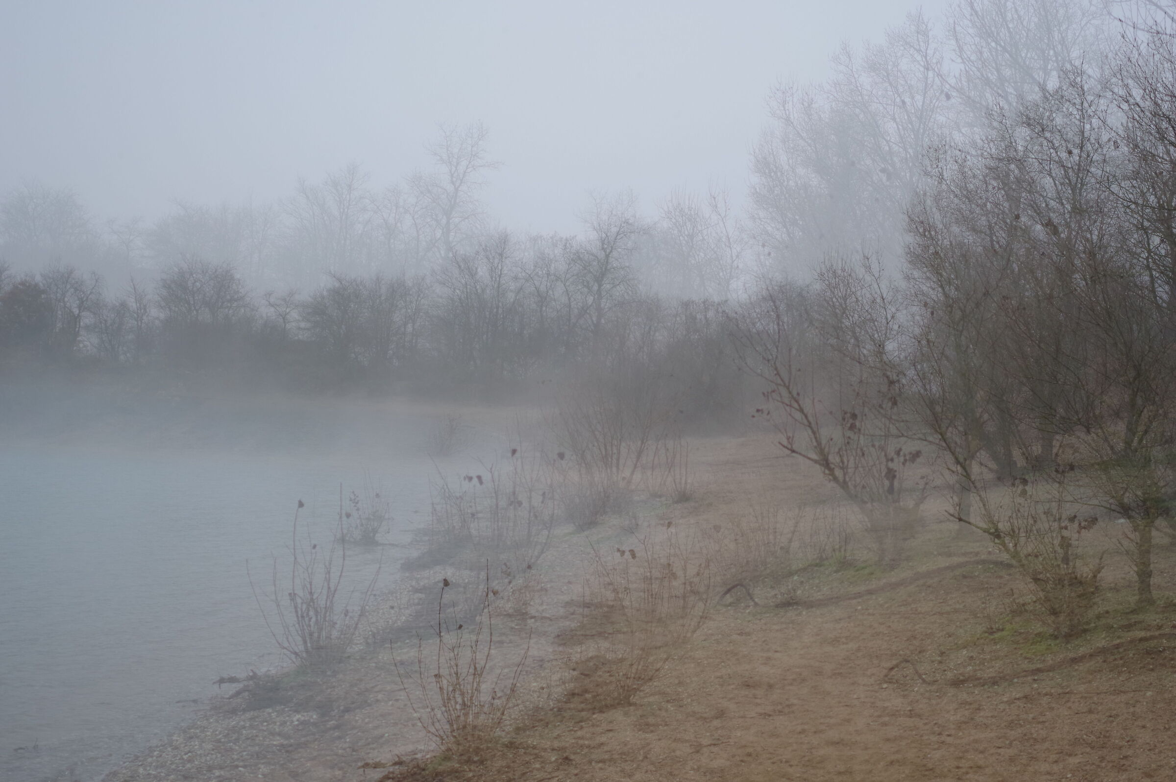 Fog at Lake 2