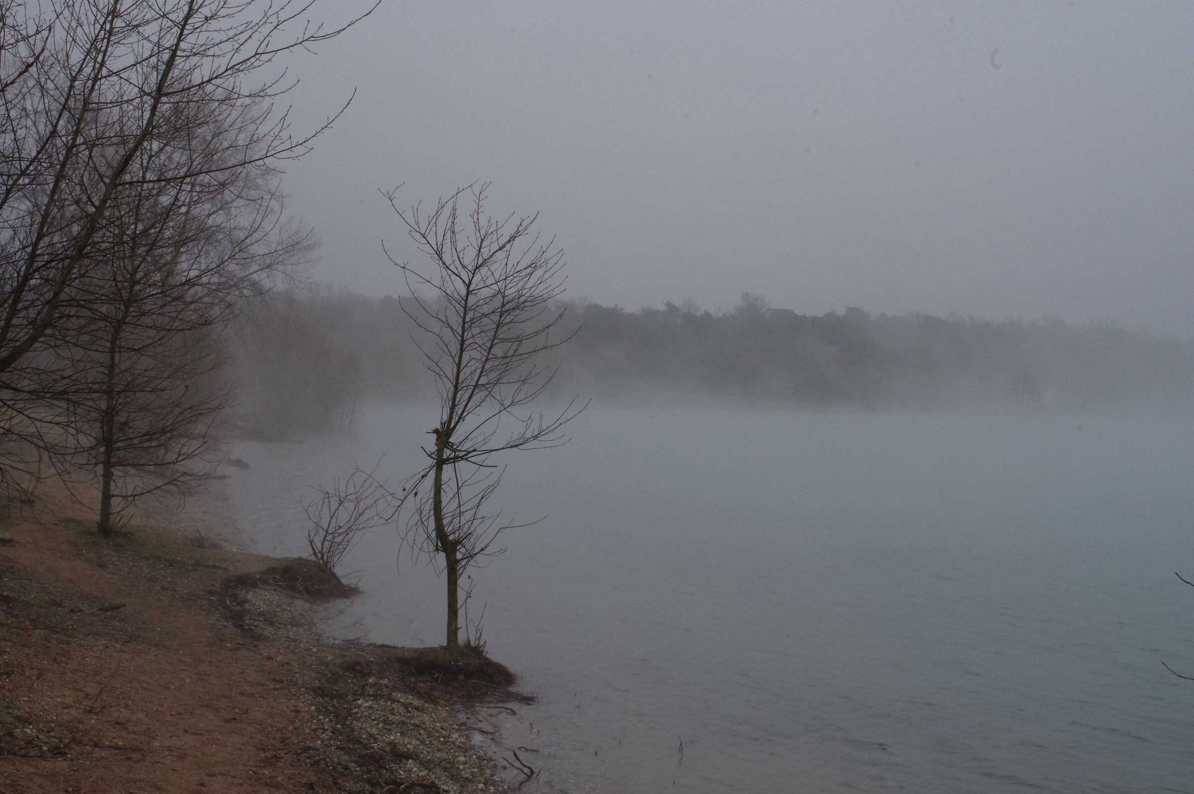 Fog at the lake 3