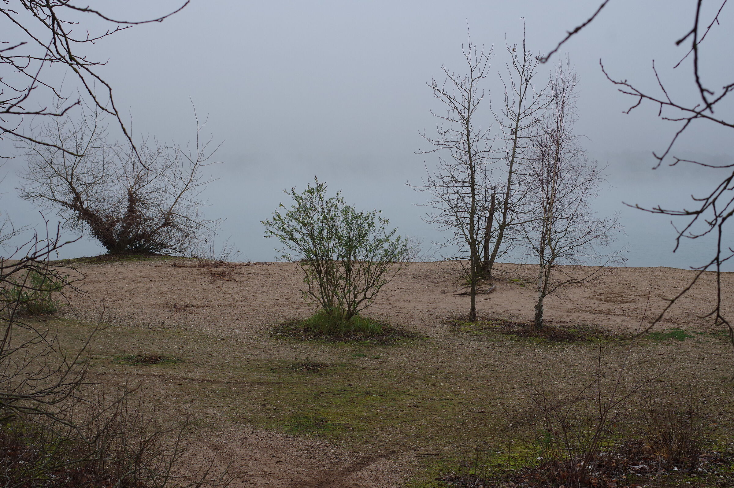 Fog at the lake 5