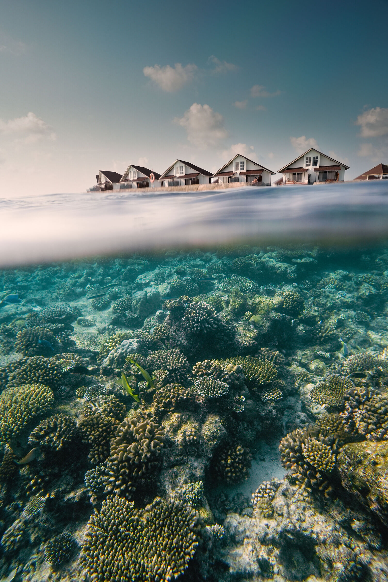 Maldive 2025 - split photography