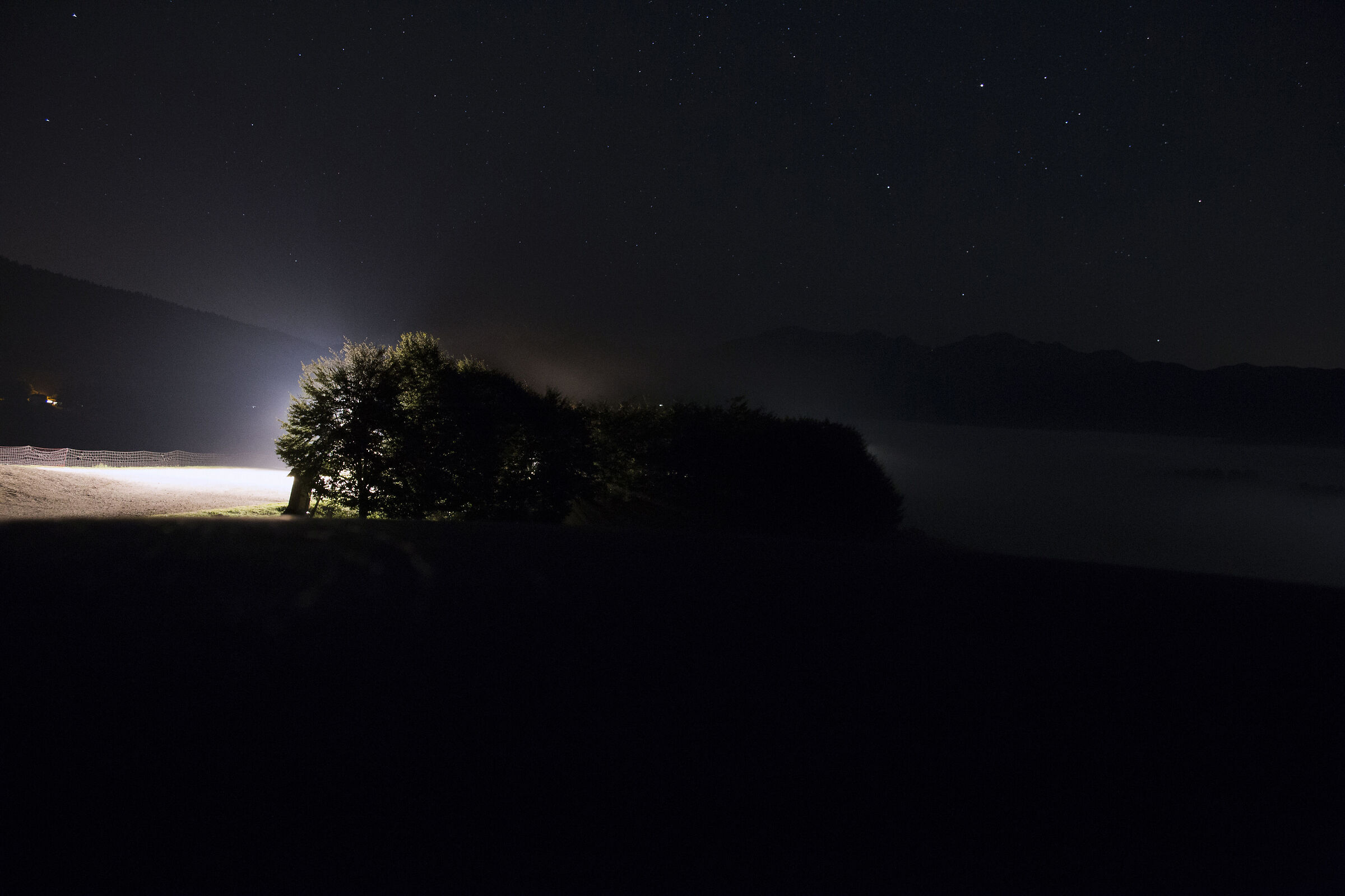 Stelle e Nebbia sul Cansiglio