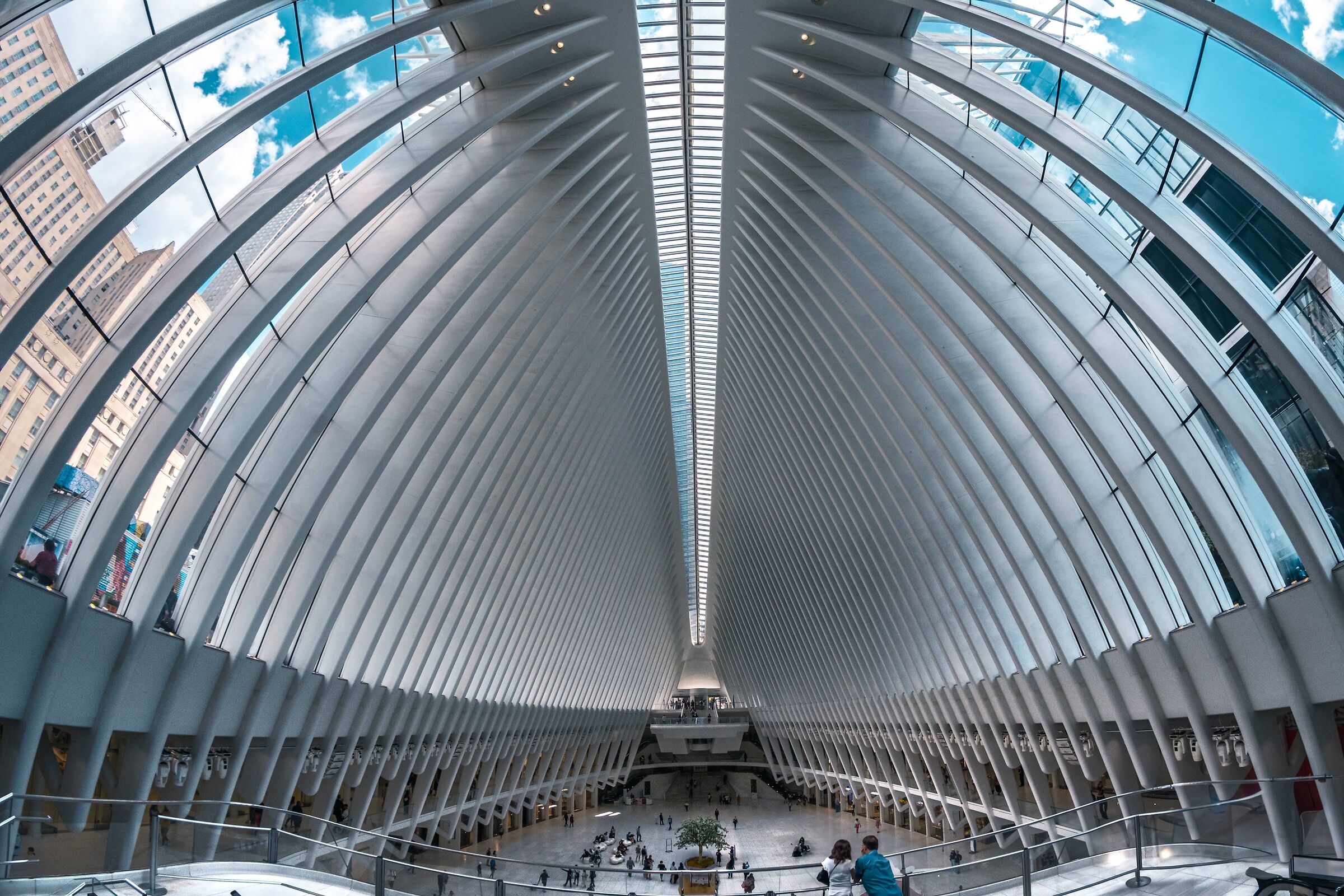 The Oculus