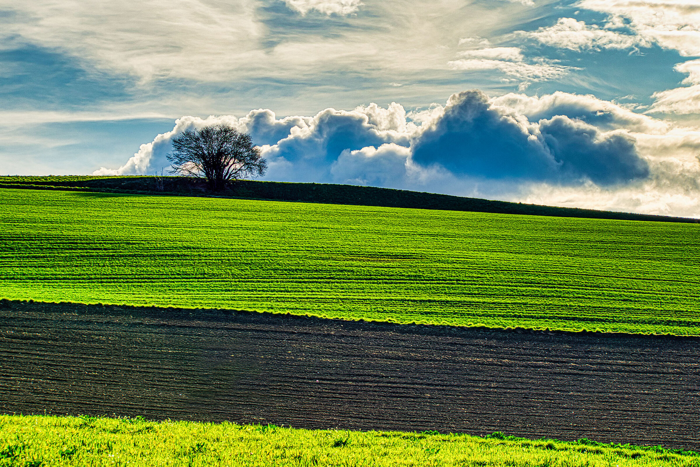 Cieli tempestosi a primavera, Champvent, Vaud, Svizzera