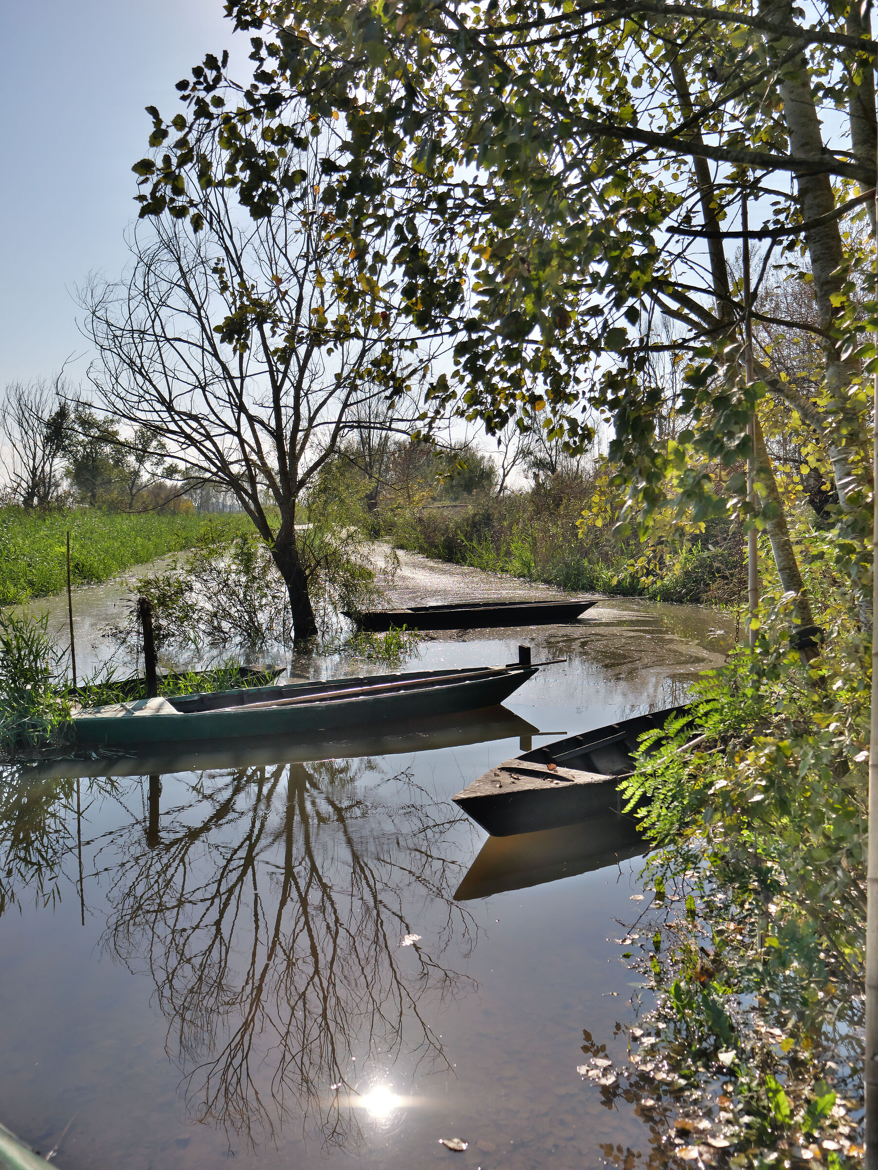 In the marshes of Fucecchio...