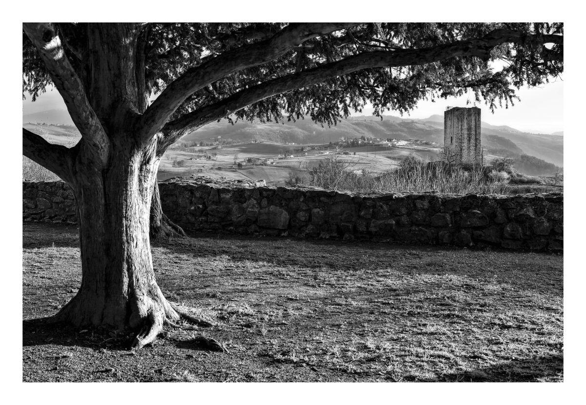 Rossena_2025 - A look towards the tower of Rossenella