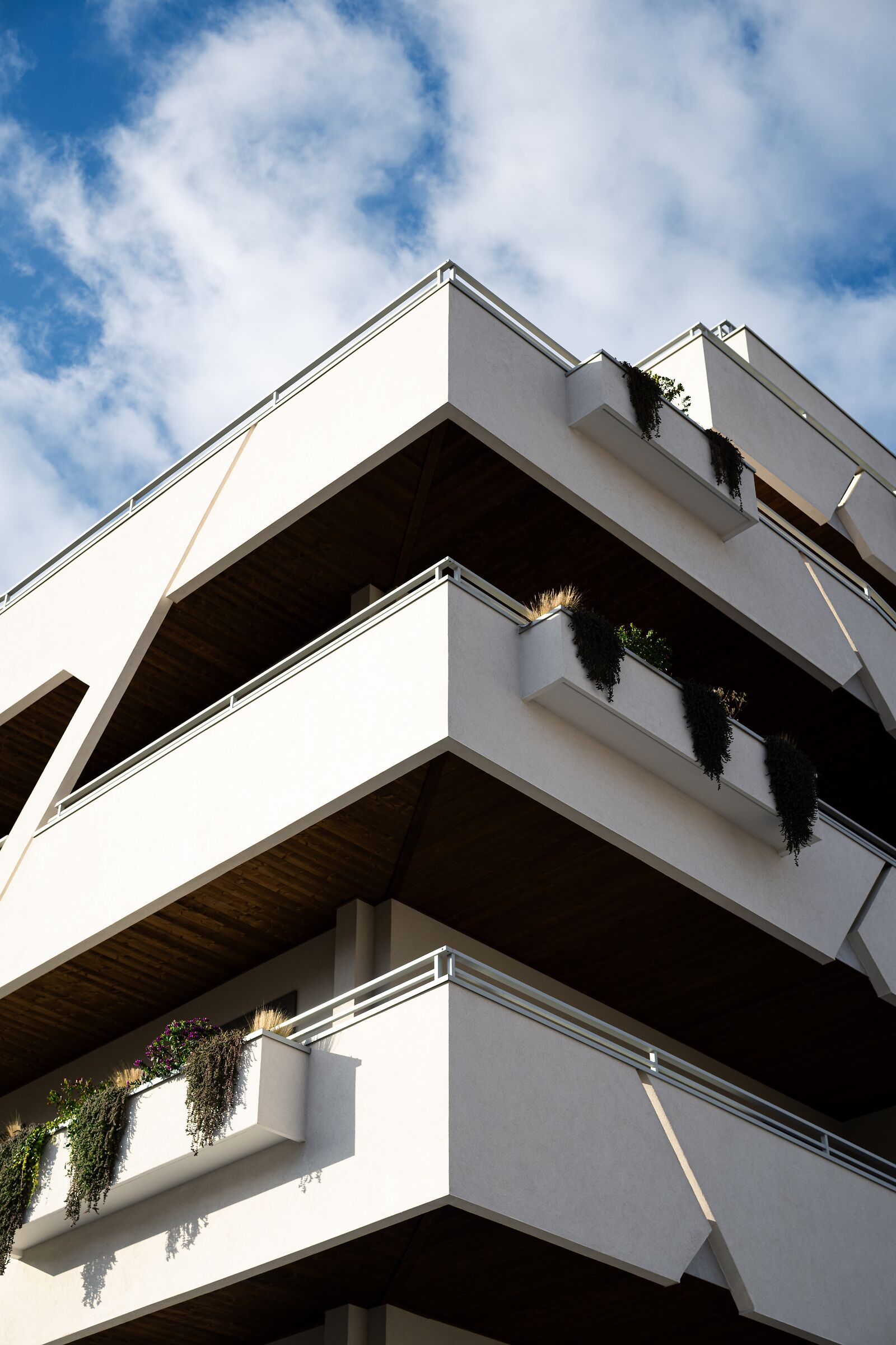 Prova Nikon Z 50mm f1.4