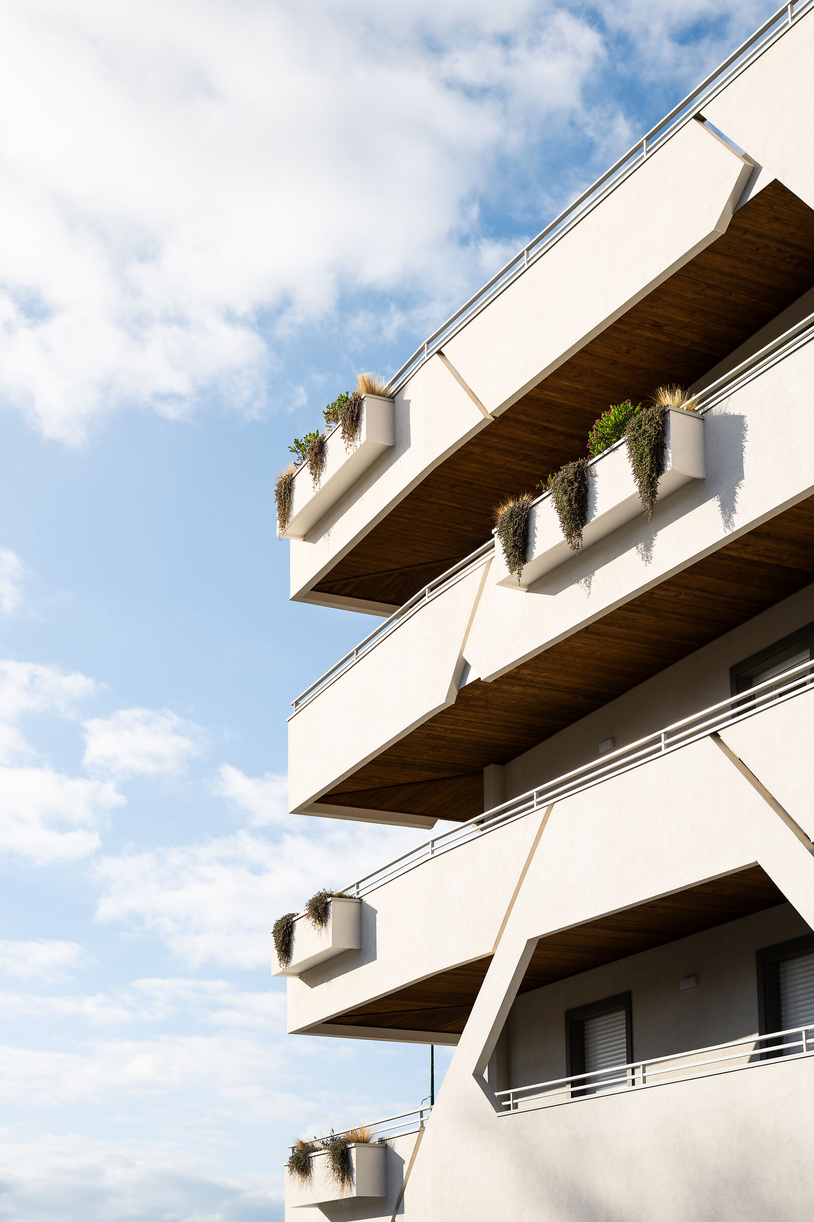 Prova Nikon Z 50mm f1.4