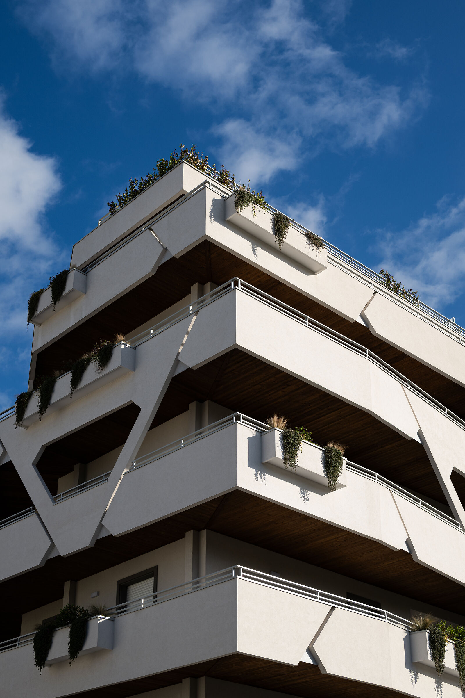 Prova Nikon Z 50mm f1.4