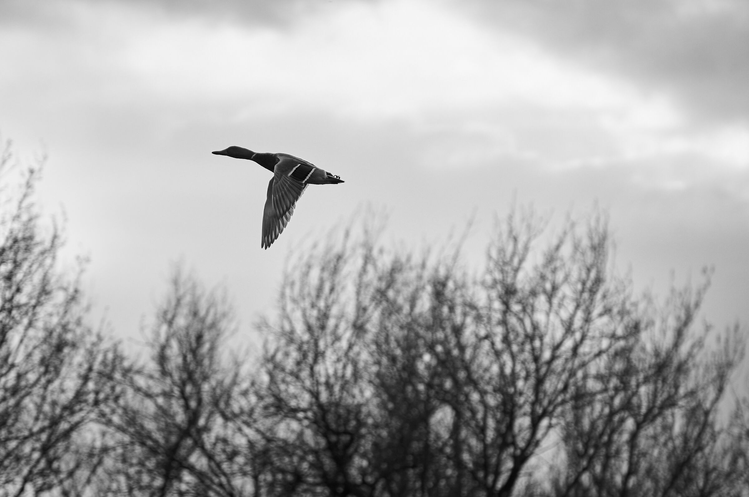 Untitled Photo