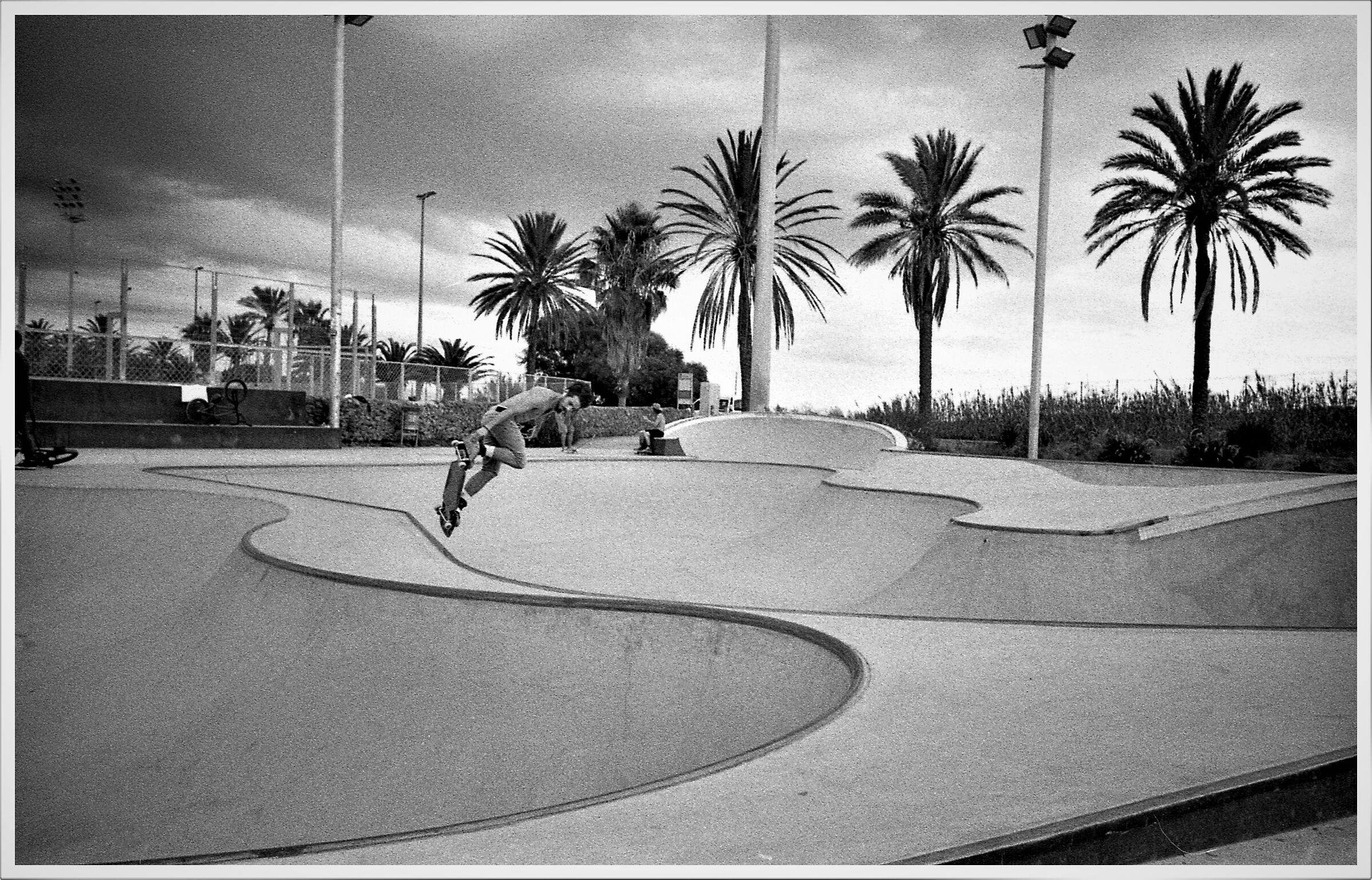 Sk8 or die