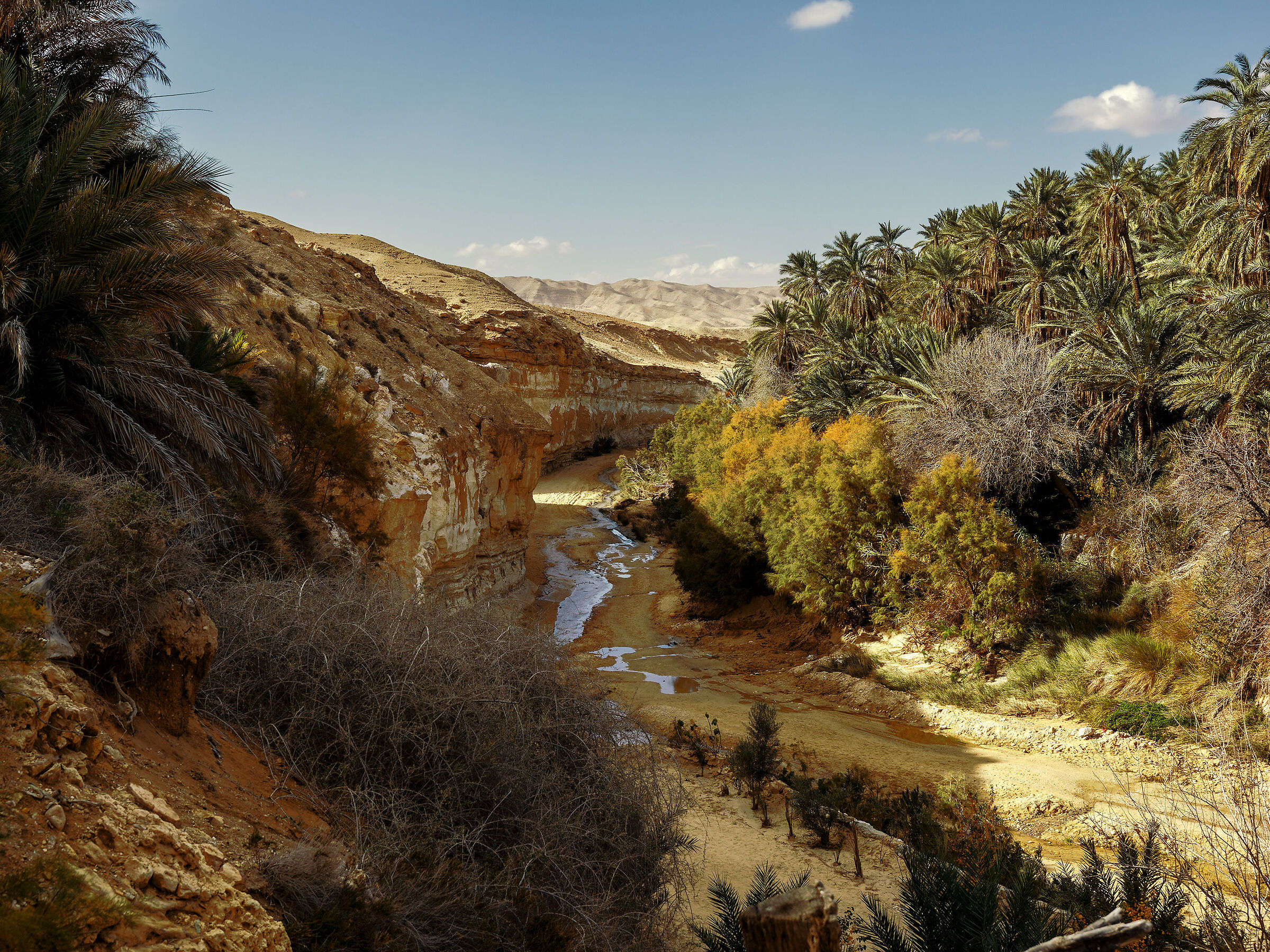 Mides OASIS in Tunisia