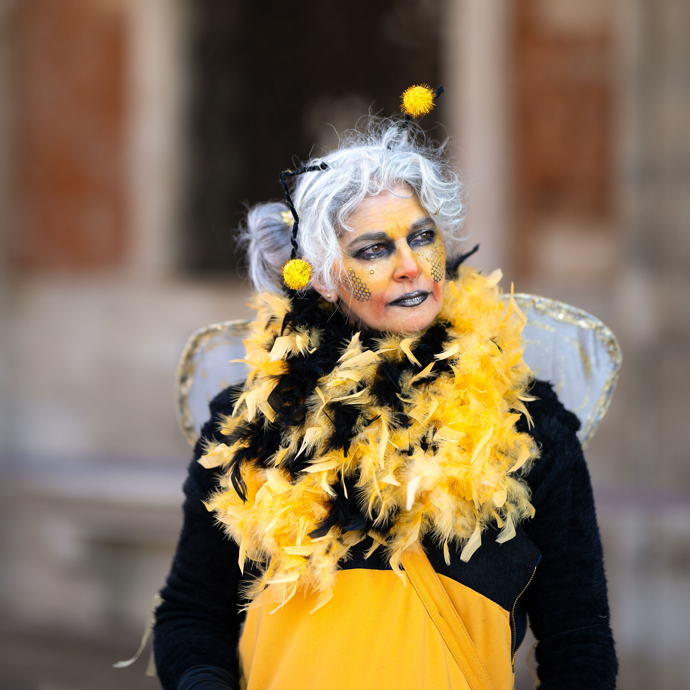 Venice Carnival