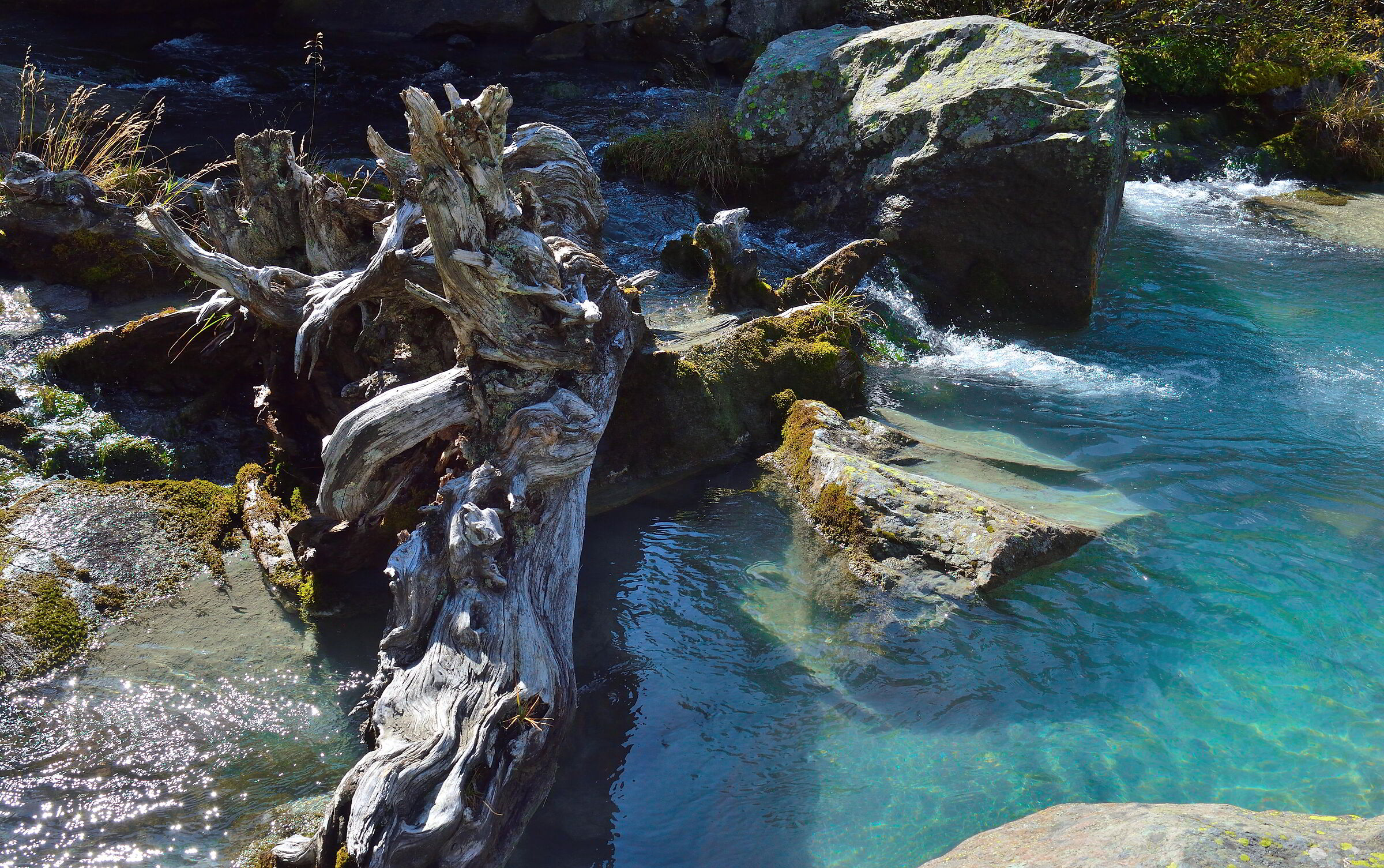 Sotto al Ghiacciaio Ventina