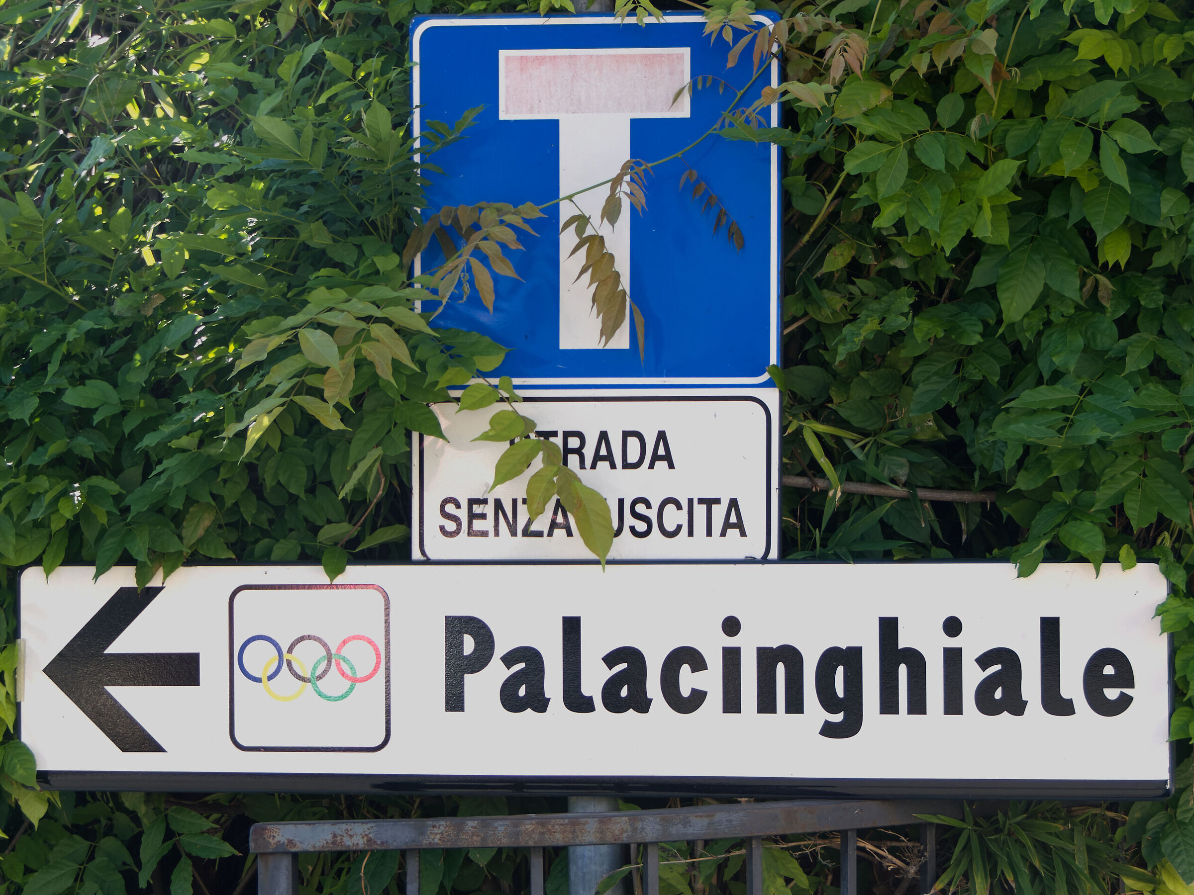 BOBBIO_2019 (_1130813-1)