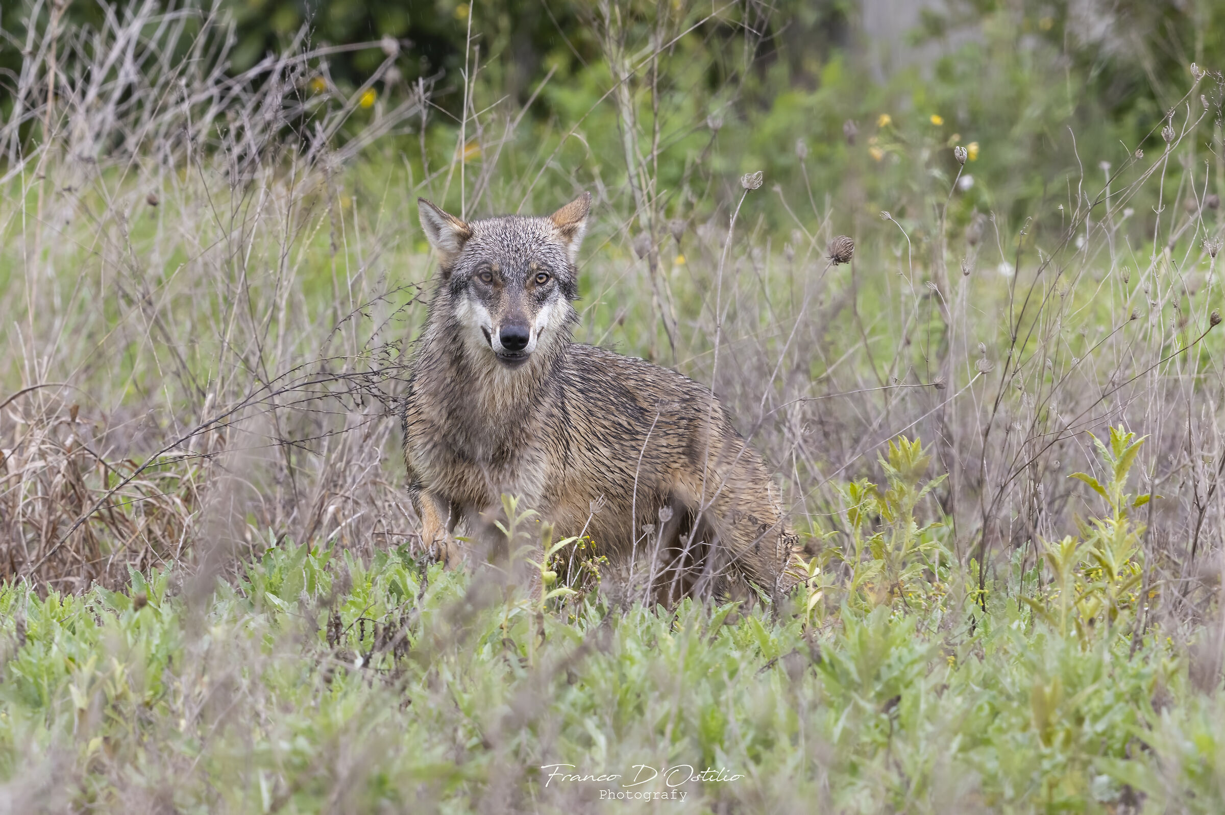 Quando meno te l'aspetti