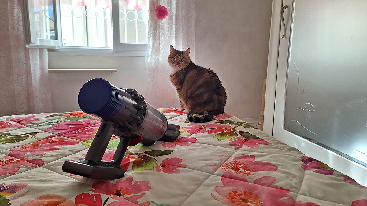 Will you change me for that?