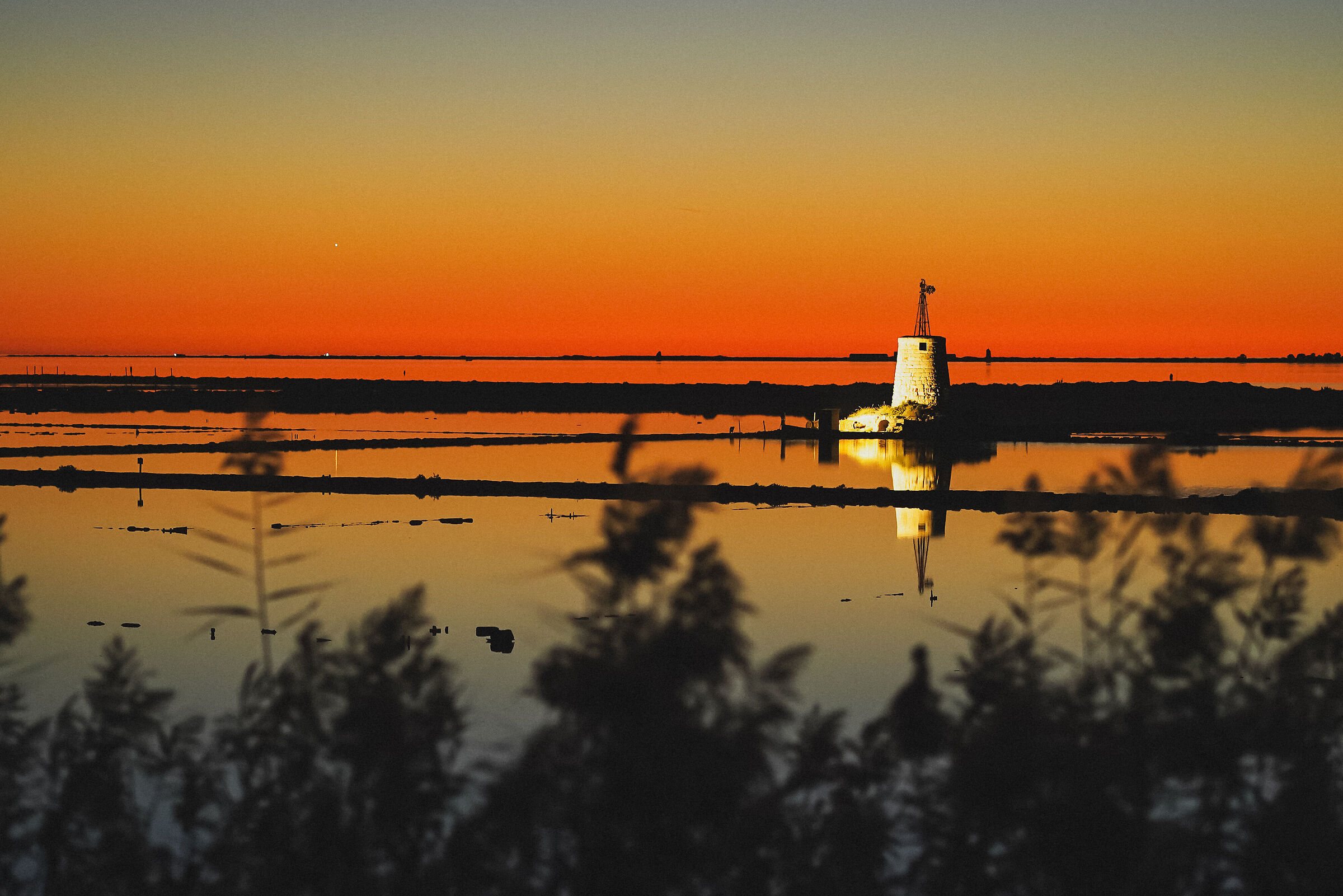 50 shades of sunshine