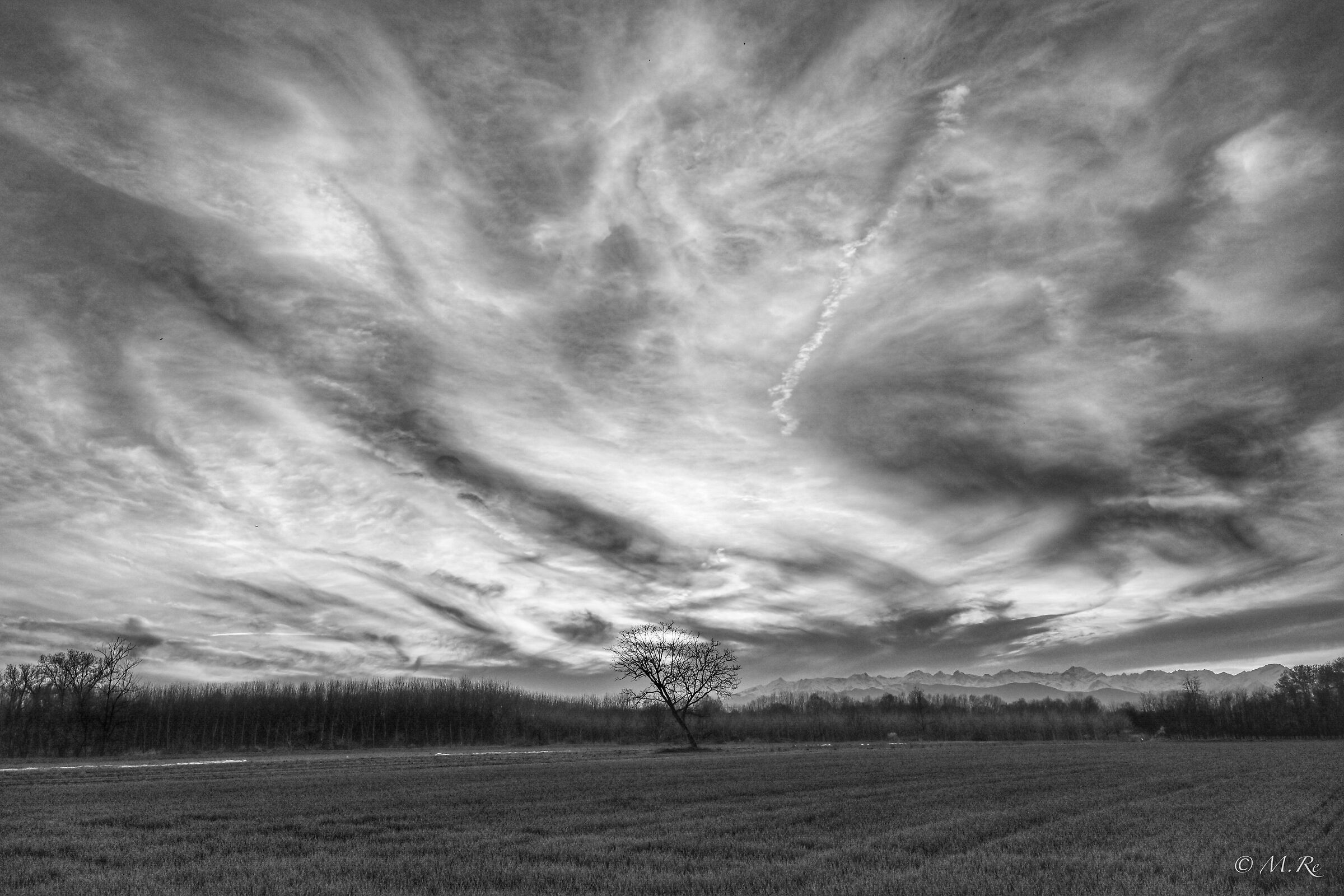 Untitled Photo