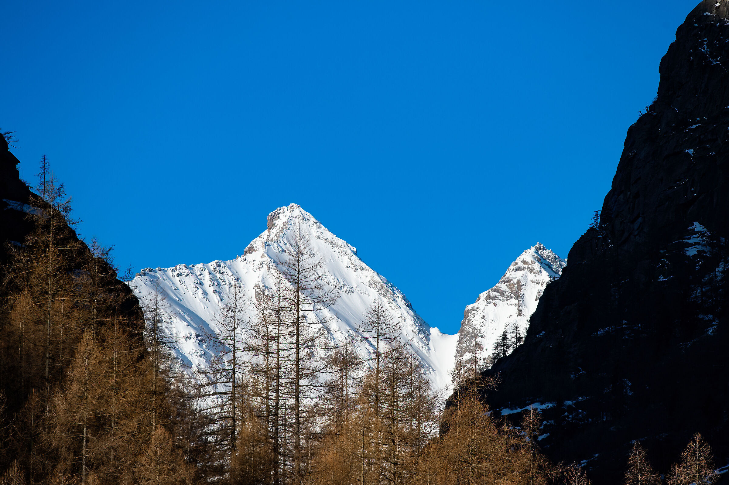 Parco Nazionale  Gran Paradiso - Piemonte