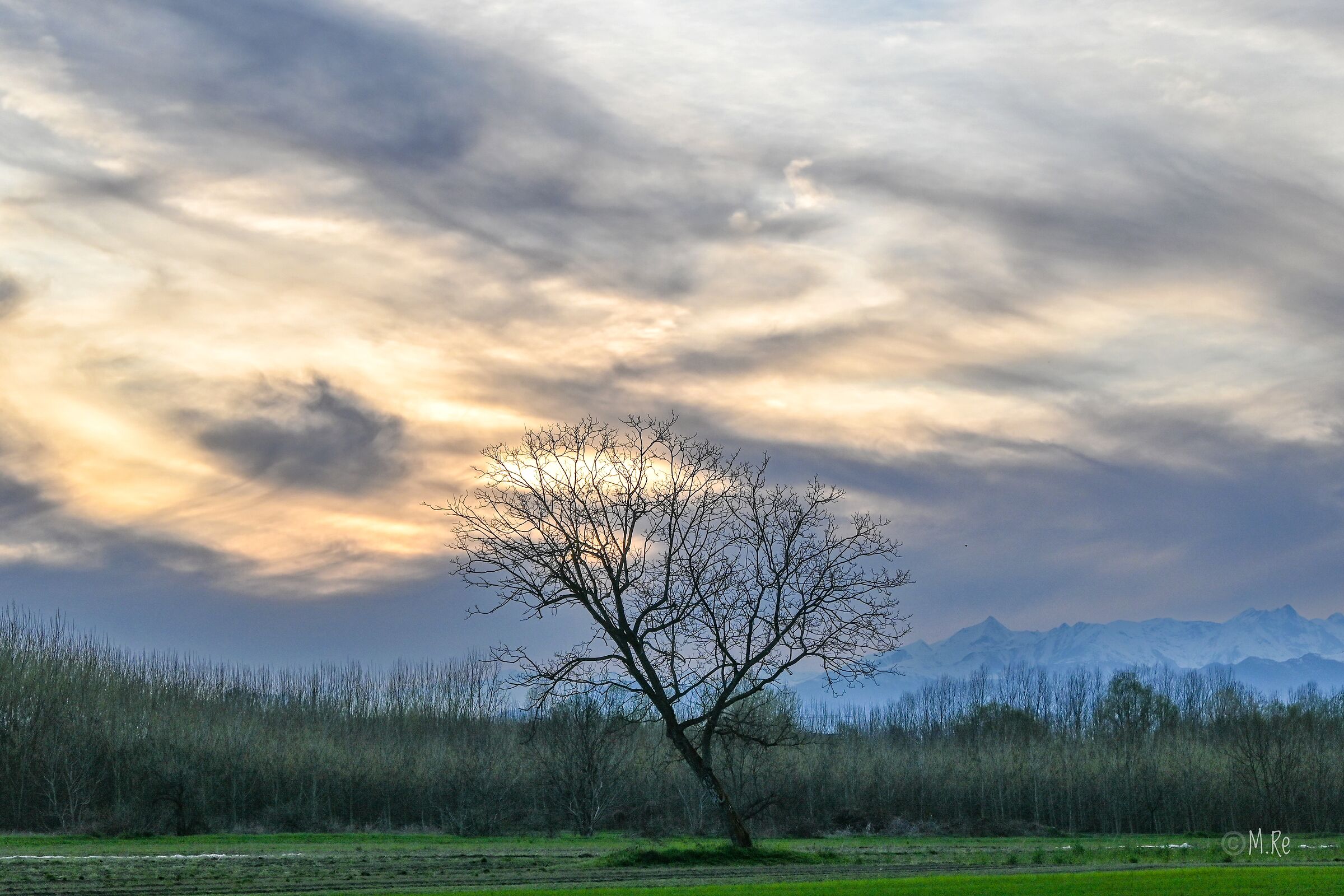 Untitled Photo