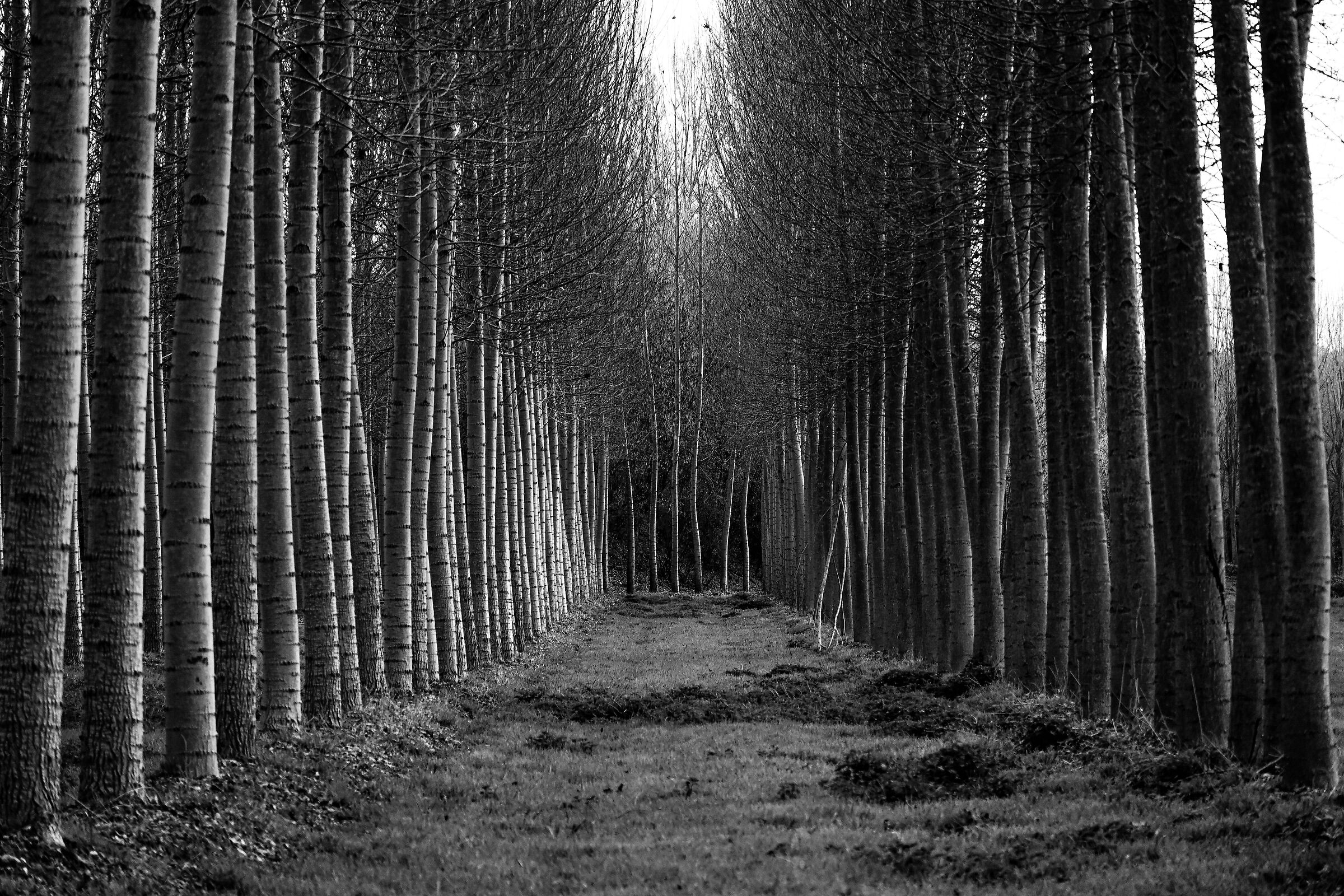 Untitled Photo