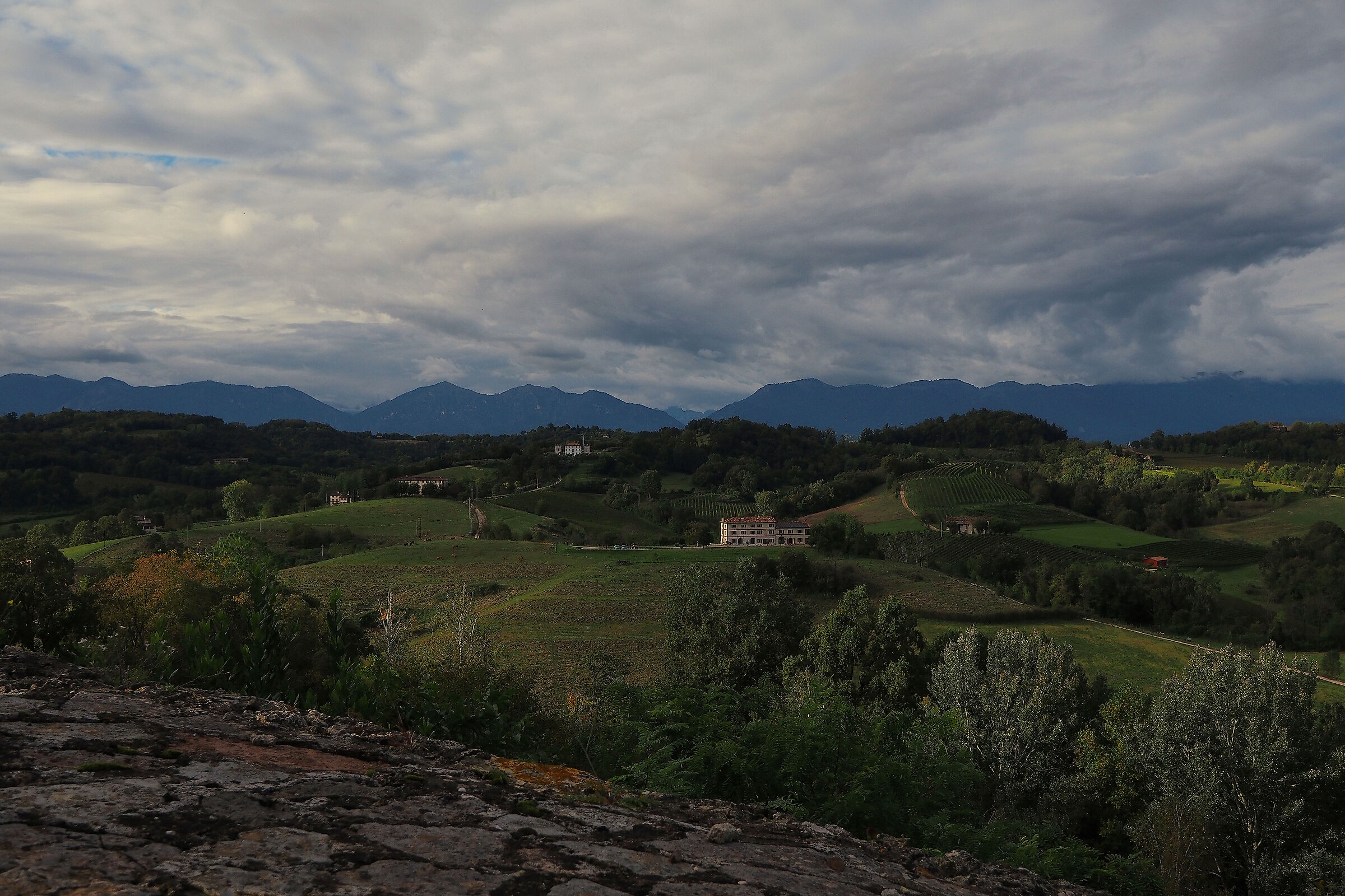 The hills of Susegana