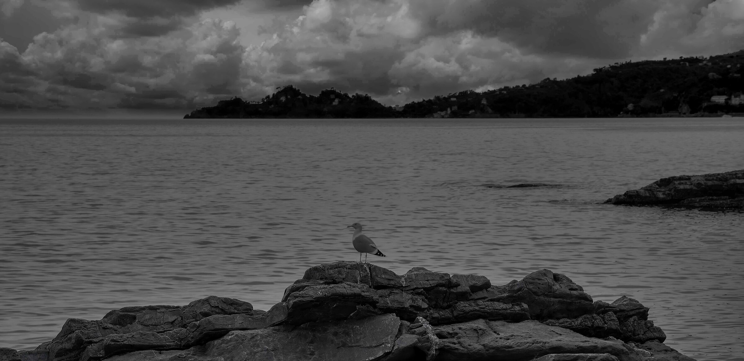 Il guardiano del faro
