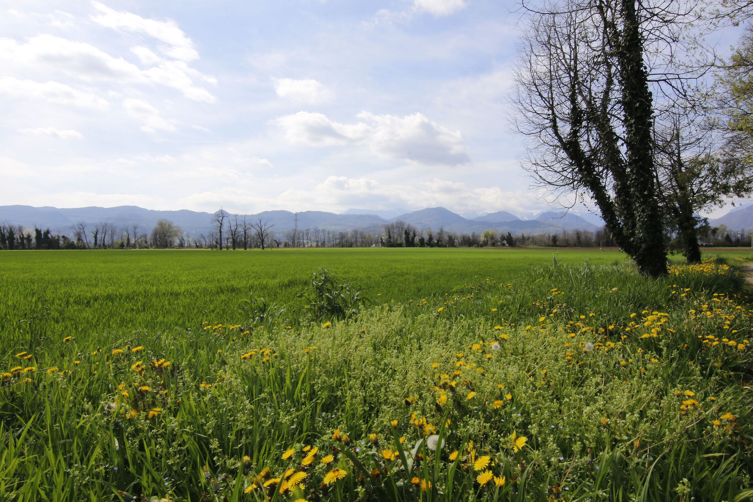 passeggiando per Giavenale