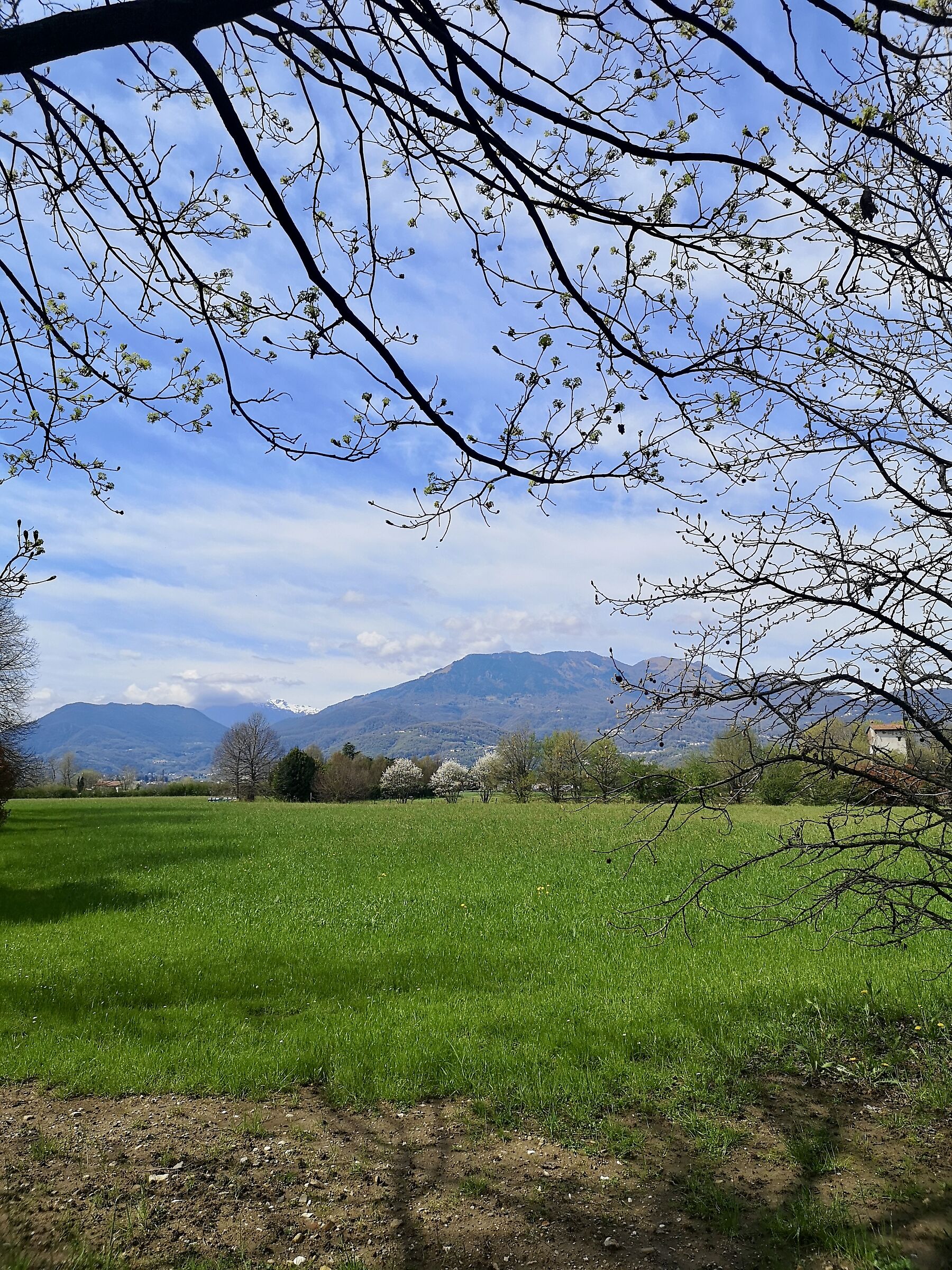 passeggiando per GIavenale