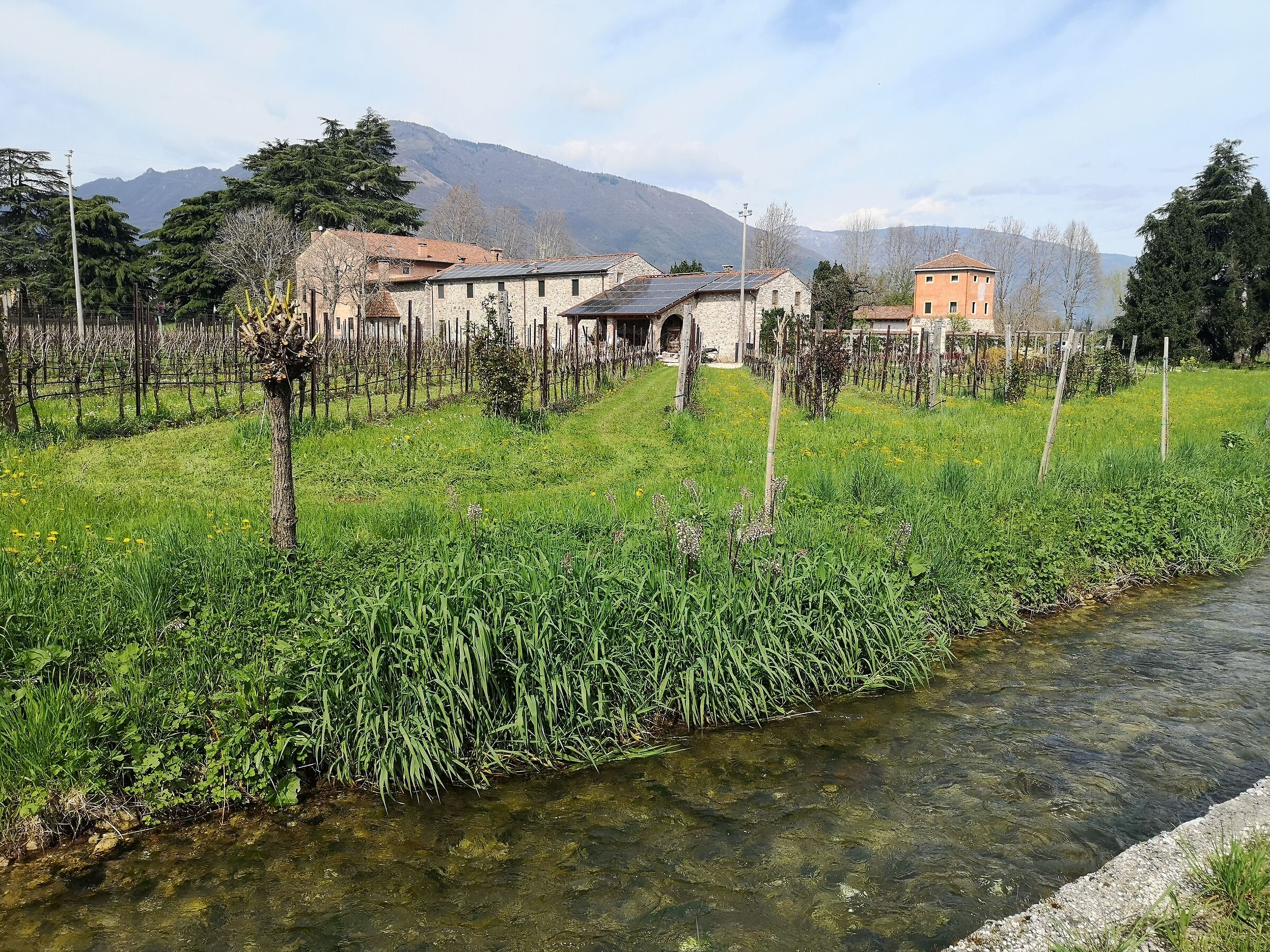 passeggiando per Giavenale