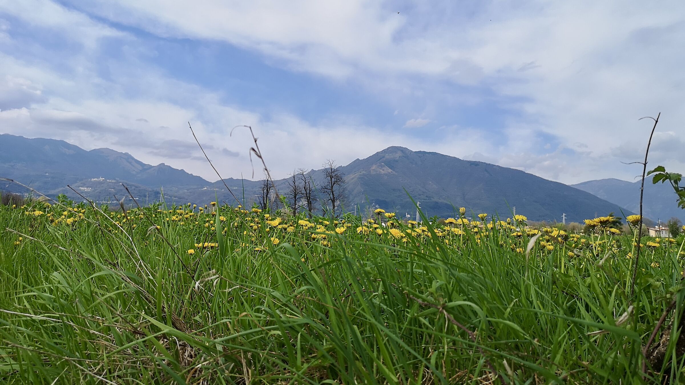 passeggiando per Giavenale