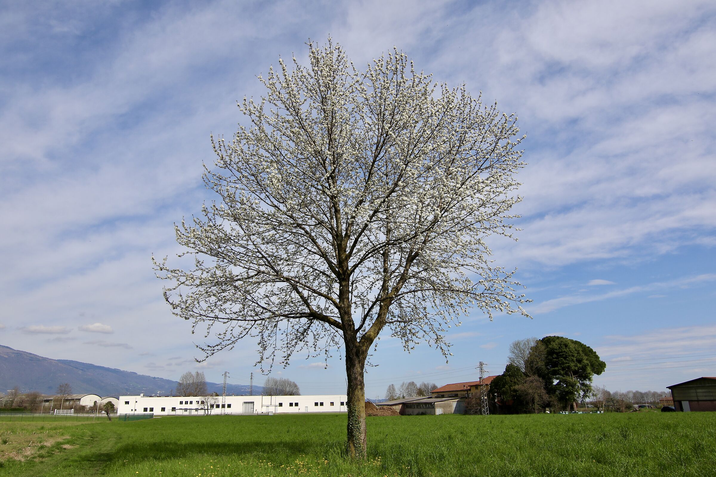 passeggiando per Giavenale