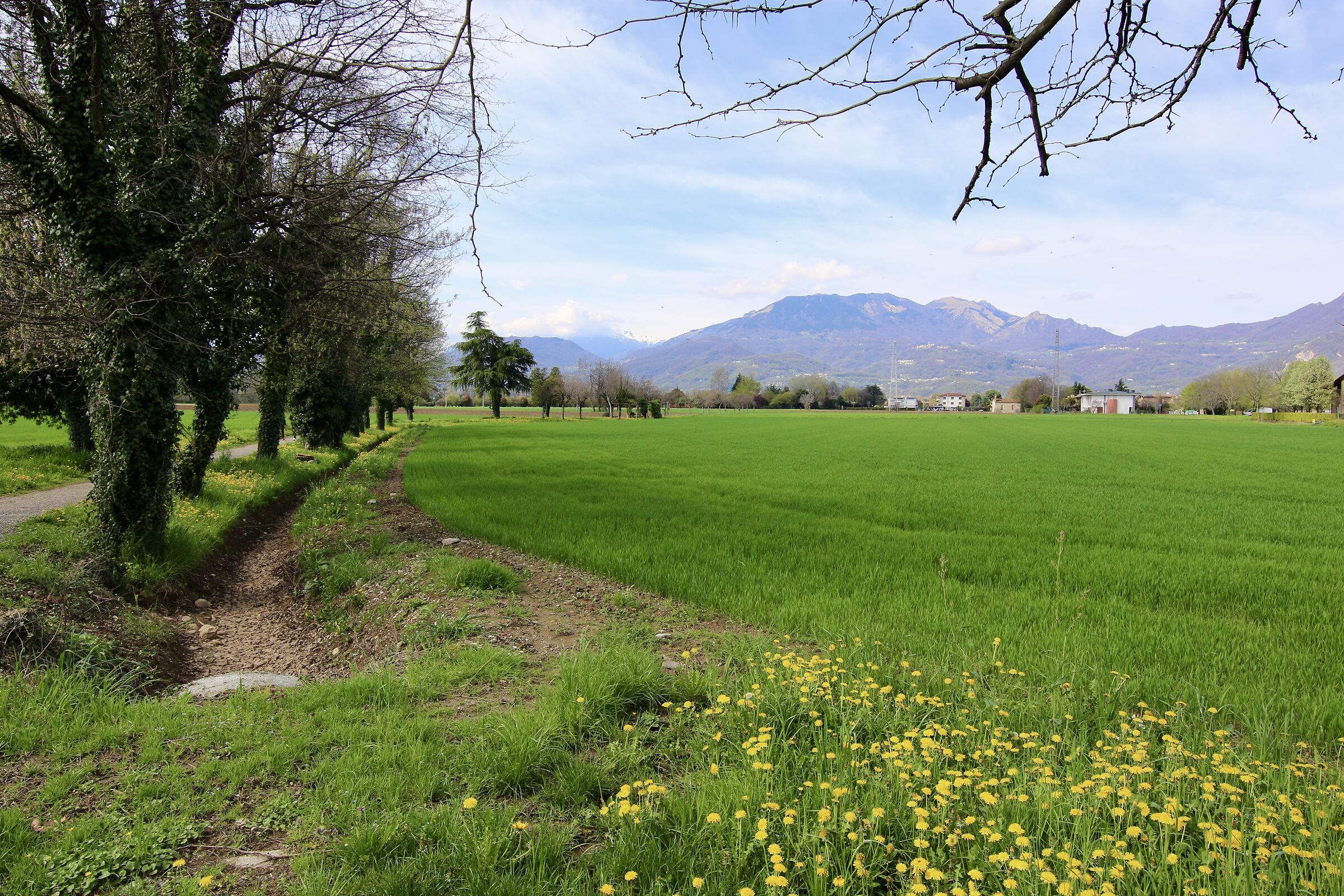 passeggiando per Giavenale