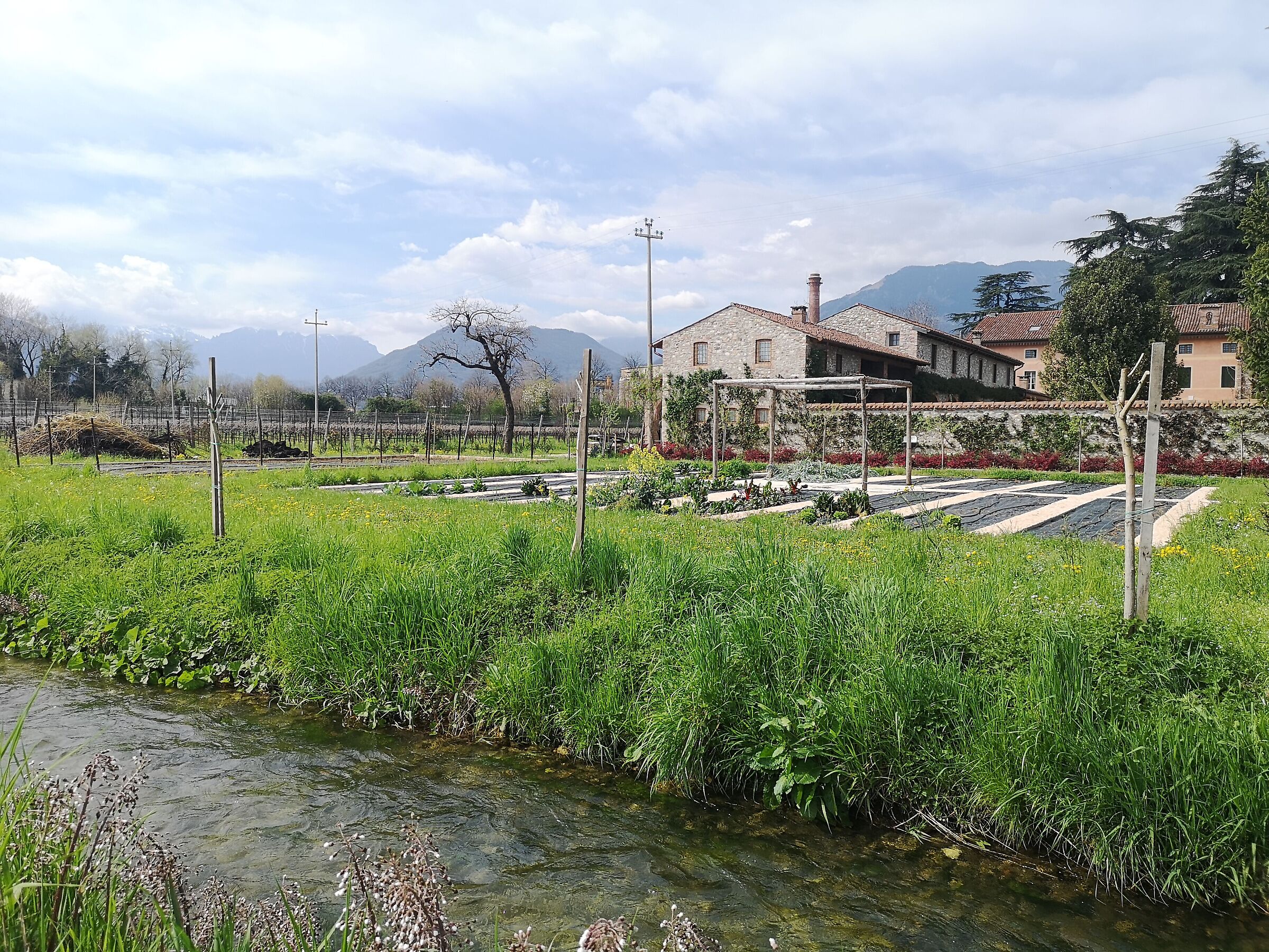 passeggiando per Giavenale