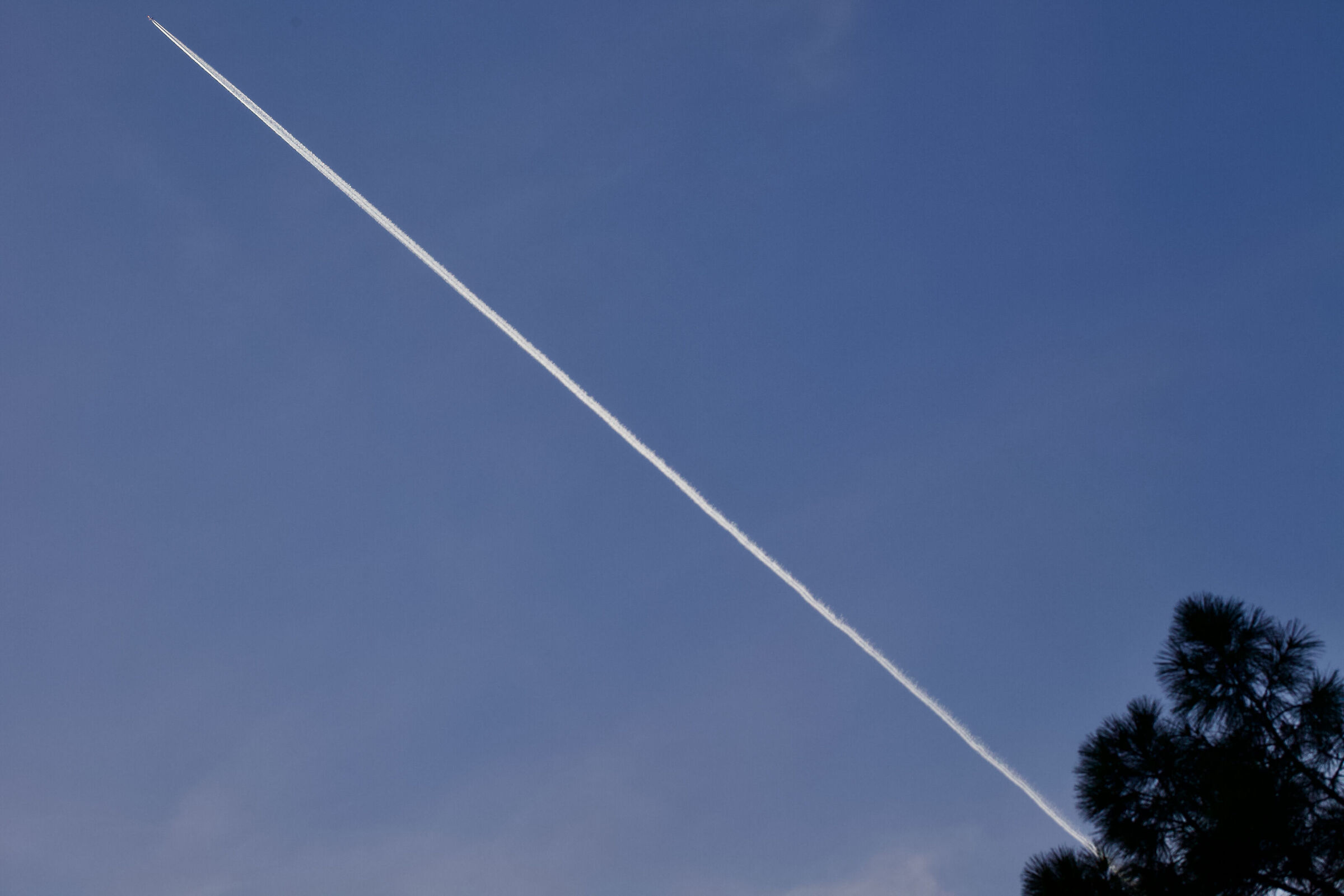 Needle & Thread