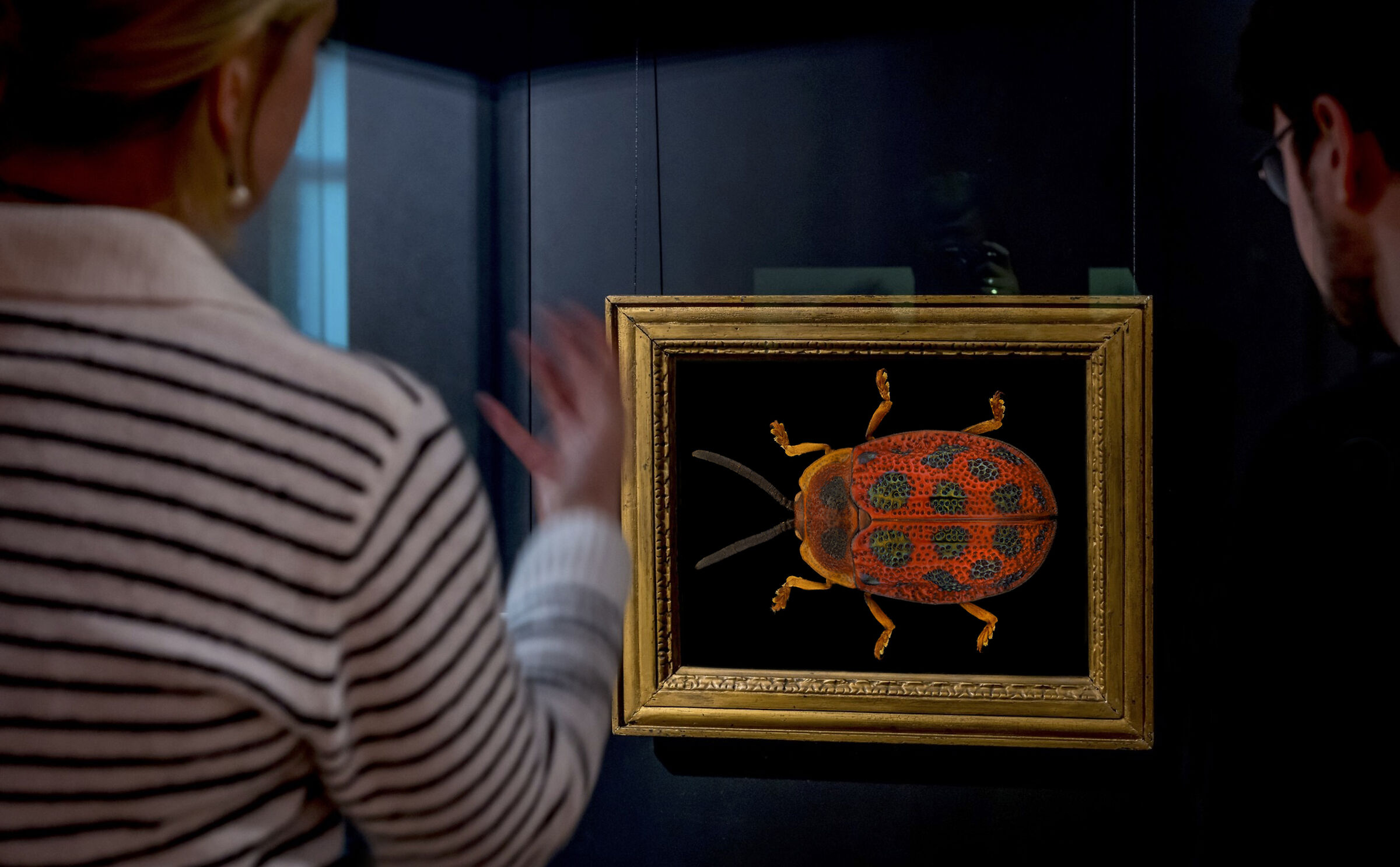 vedi ..questa è arte....