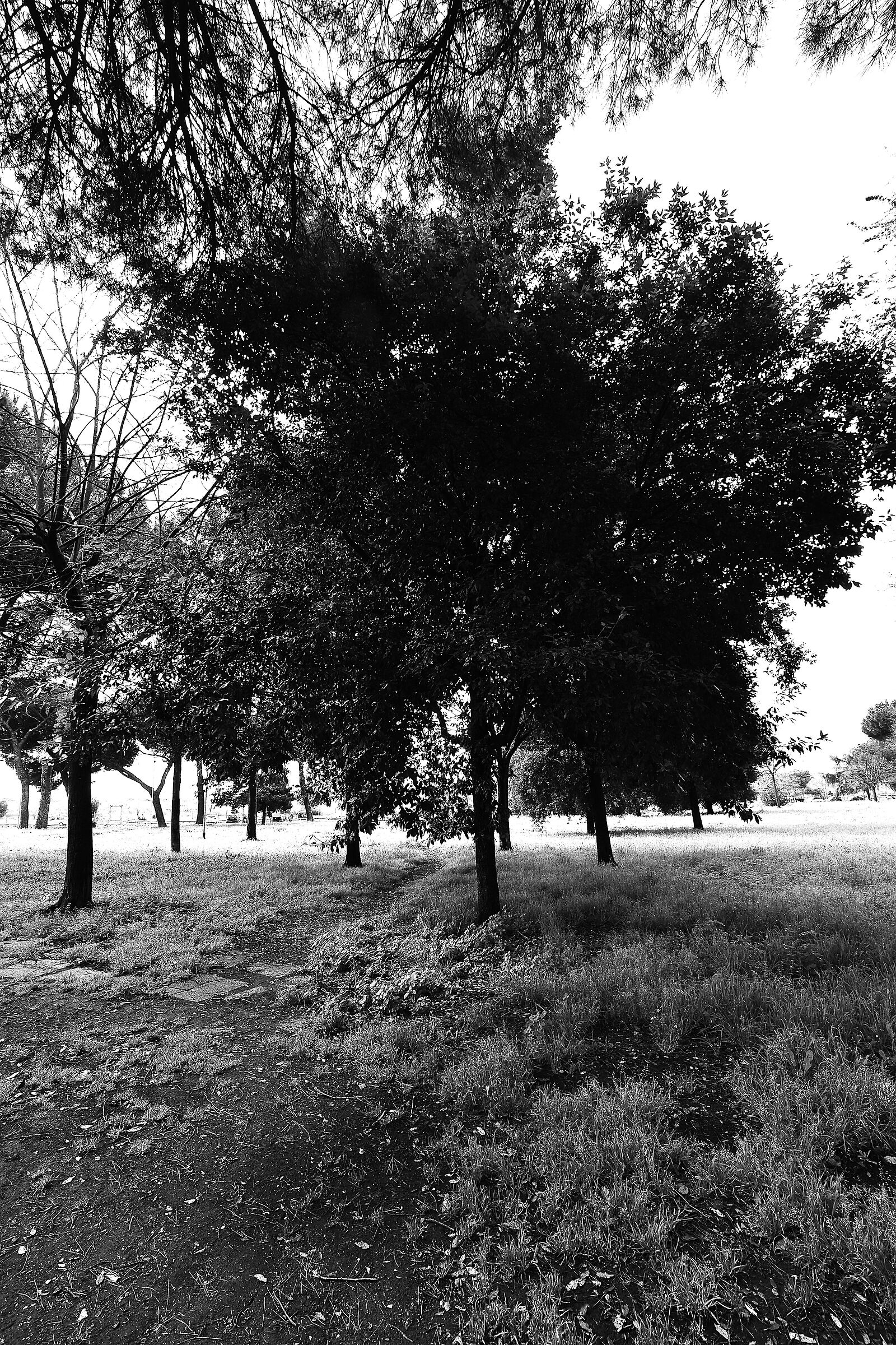 Sigma 10-20 EX DC HSM #2 Test