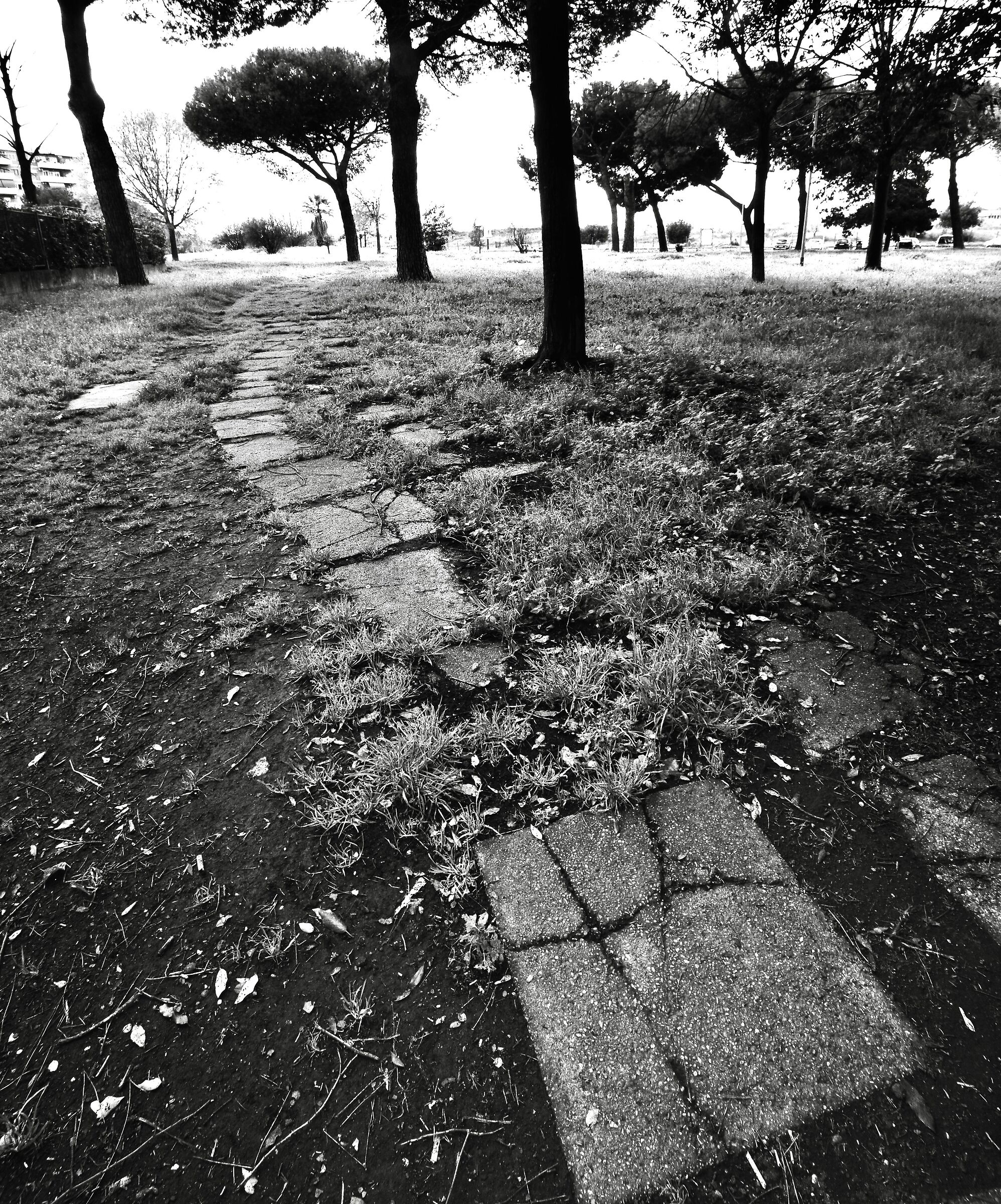 Sigma 10-20 EX DC HSM #2 Test