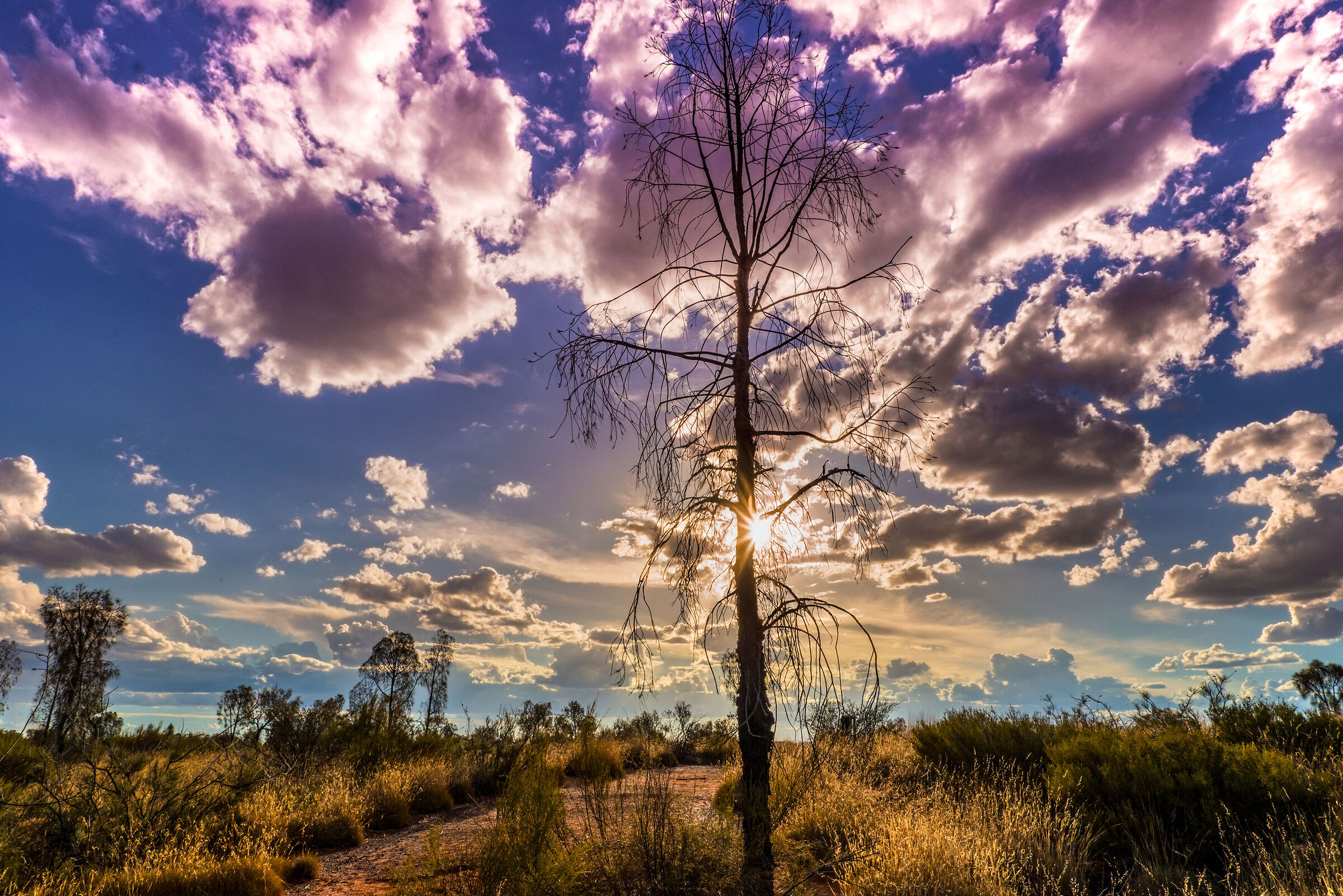 Sunset in the Outback of Ayers Rock