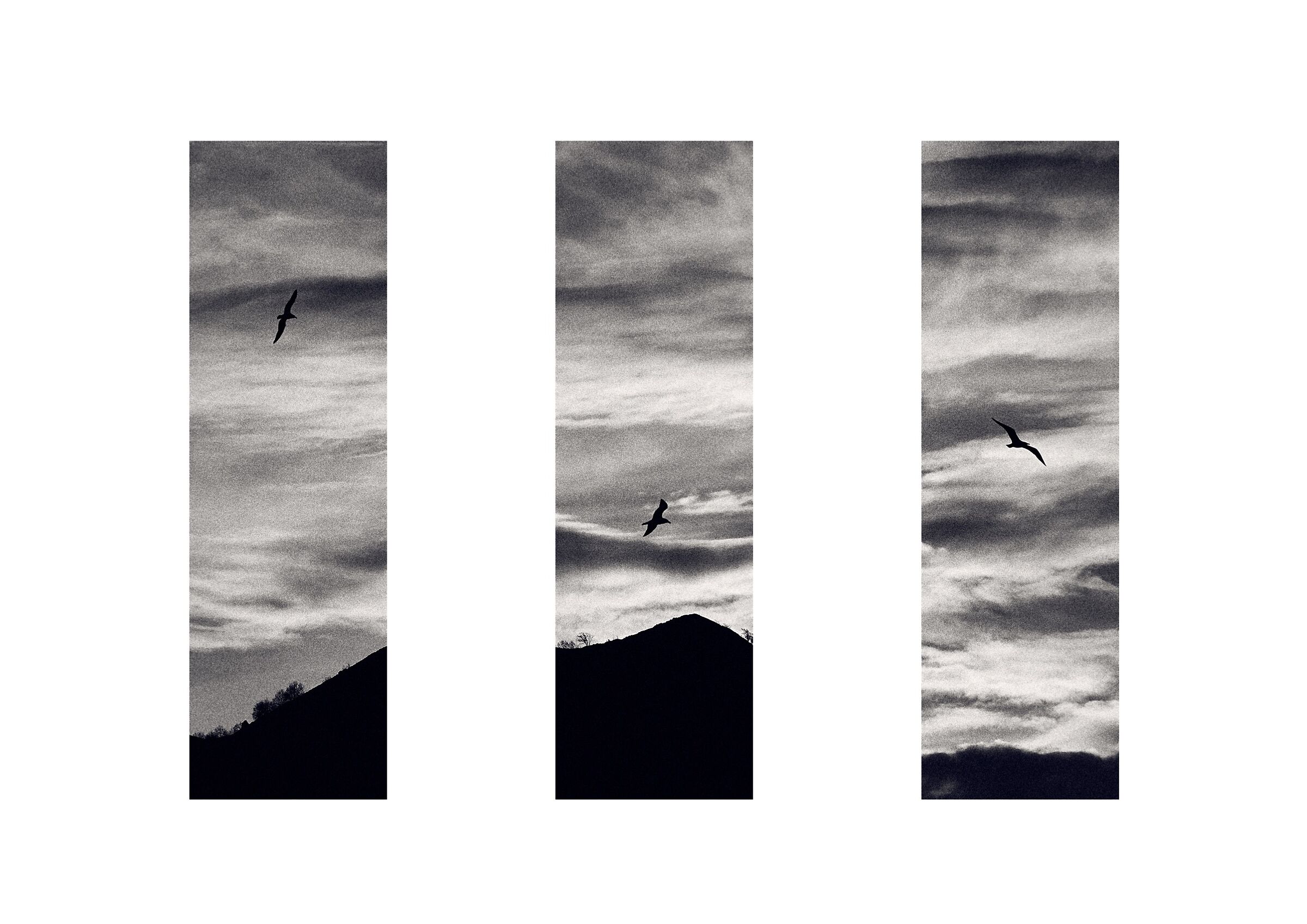trittico