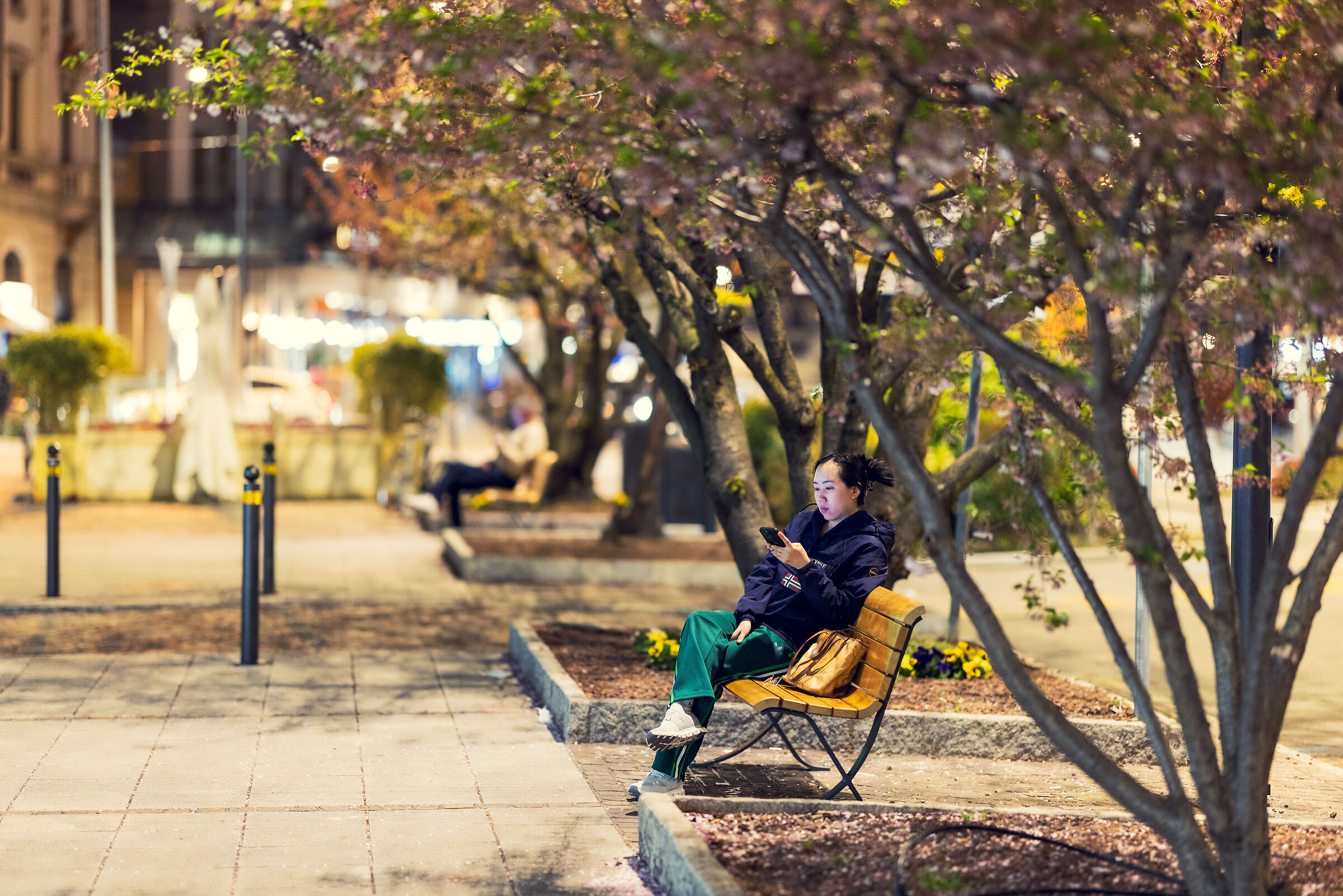 Under the peach trees in bloom at night